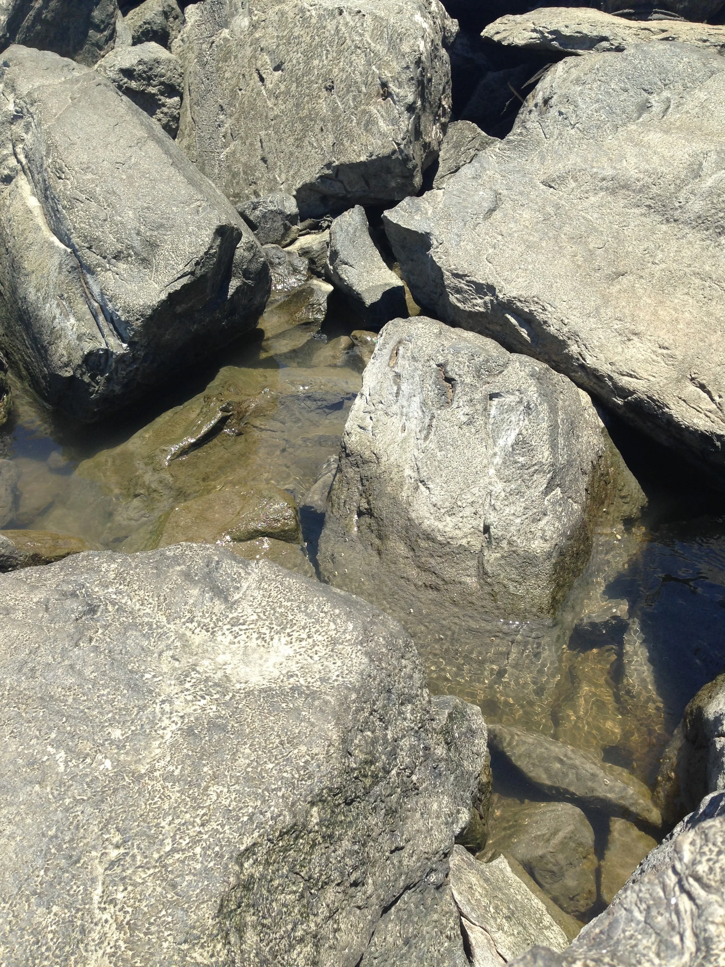 Bookpacking through the Grand Isle