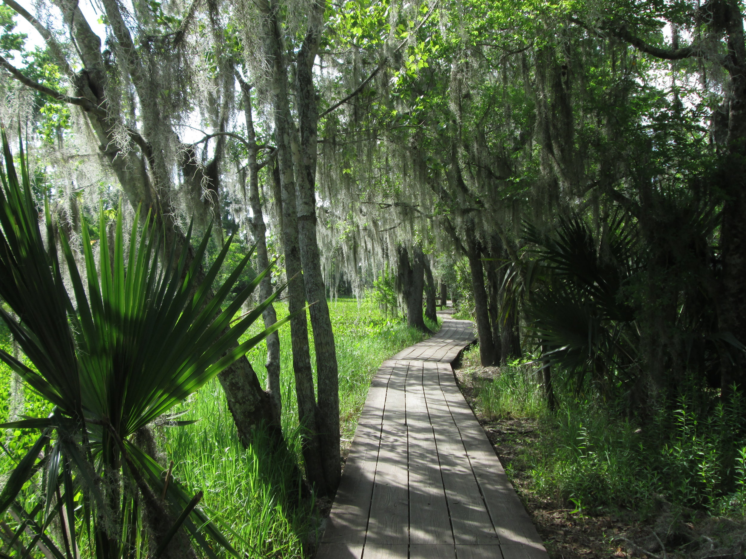 Jean Lafitte Barataria Preserve