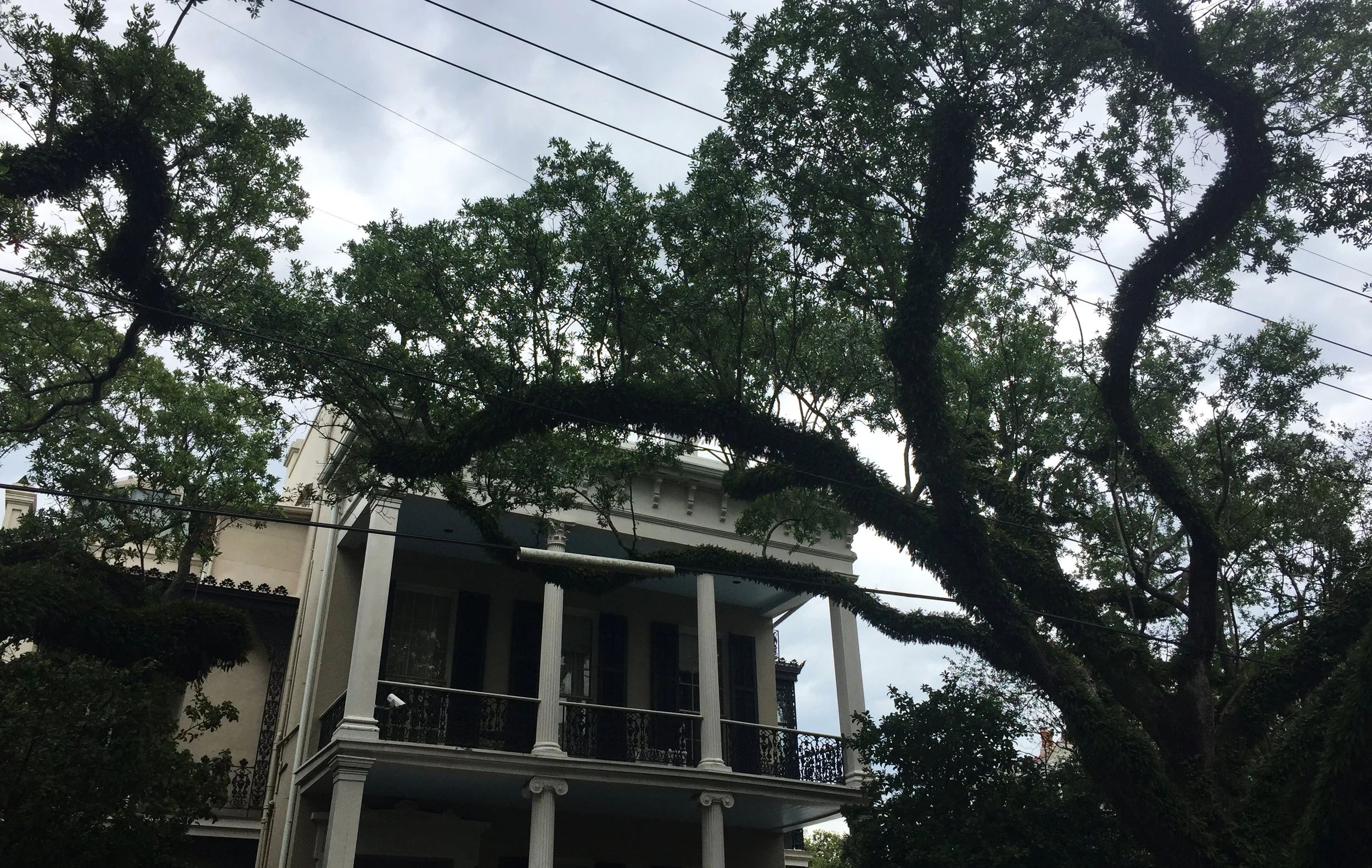 Para-NOLA