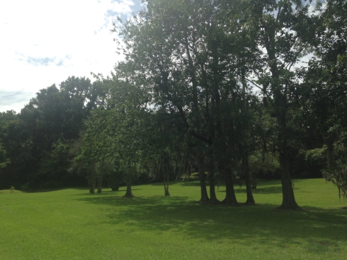  More green! Even the "plainer" environments are beautiful. 