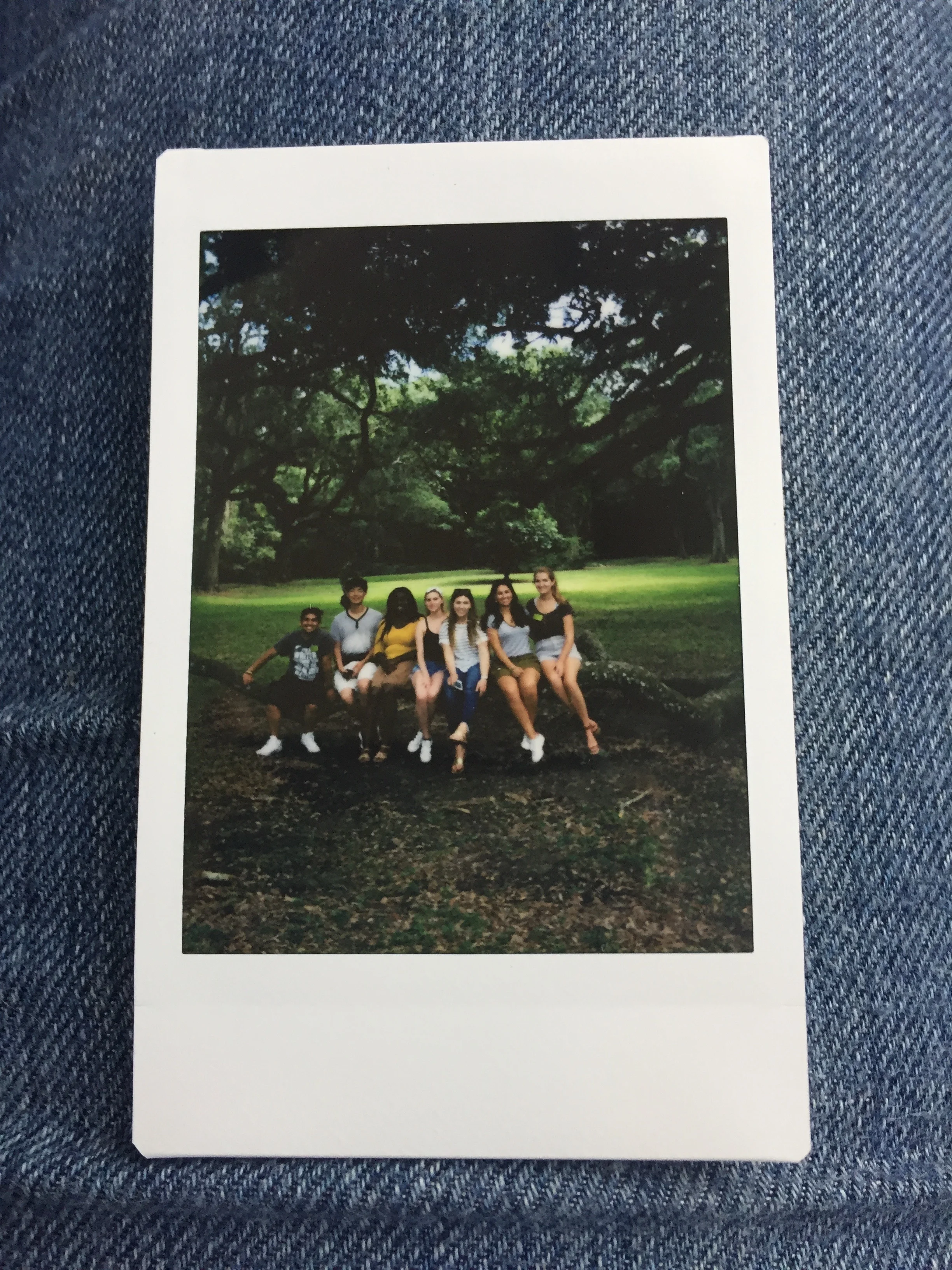 Meet the Gang