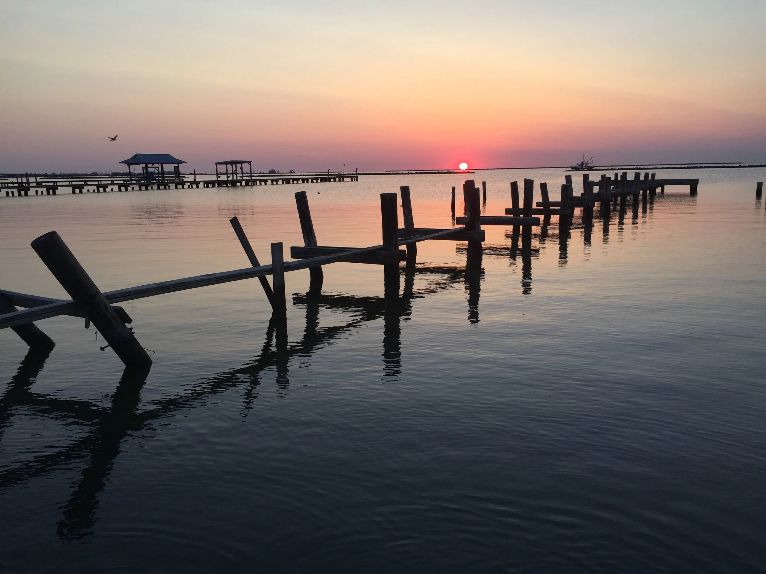 IMG_7311 copy.jpg