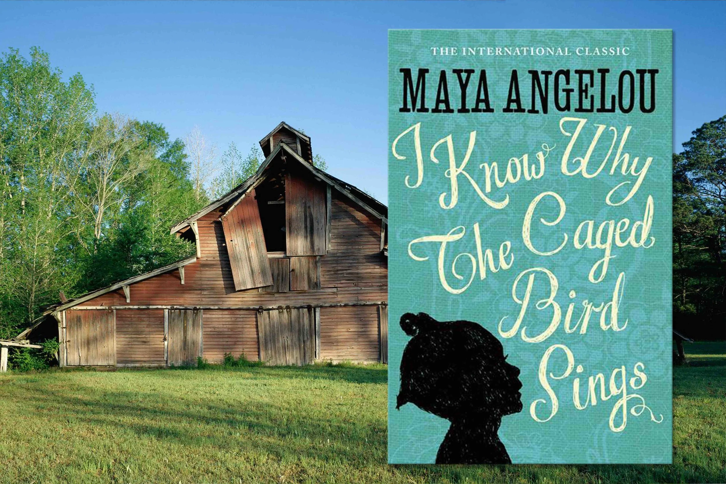i know why the caged bird sings.jpg