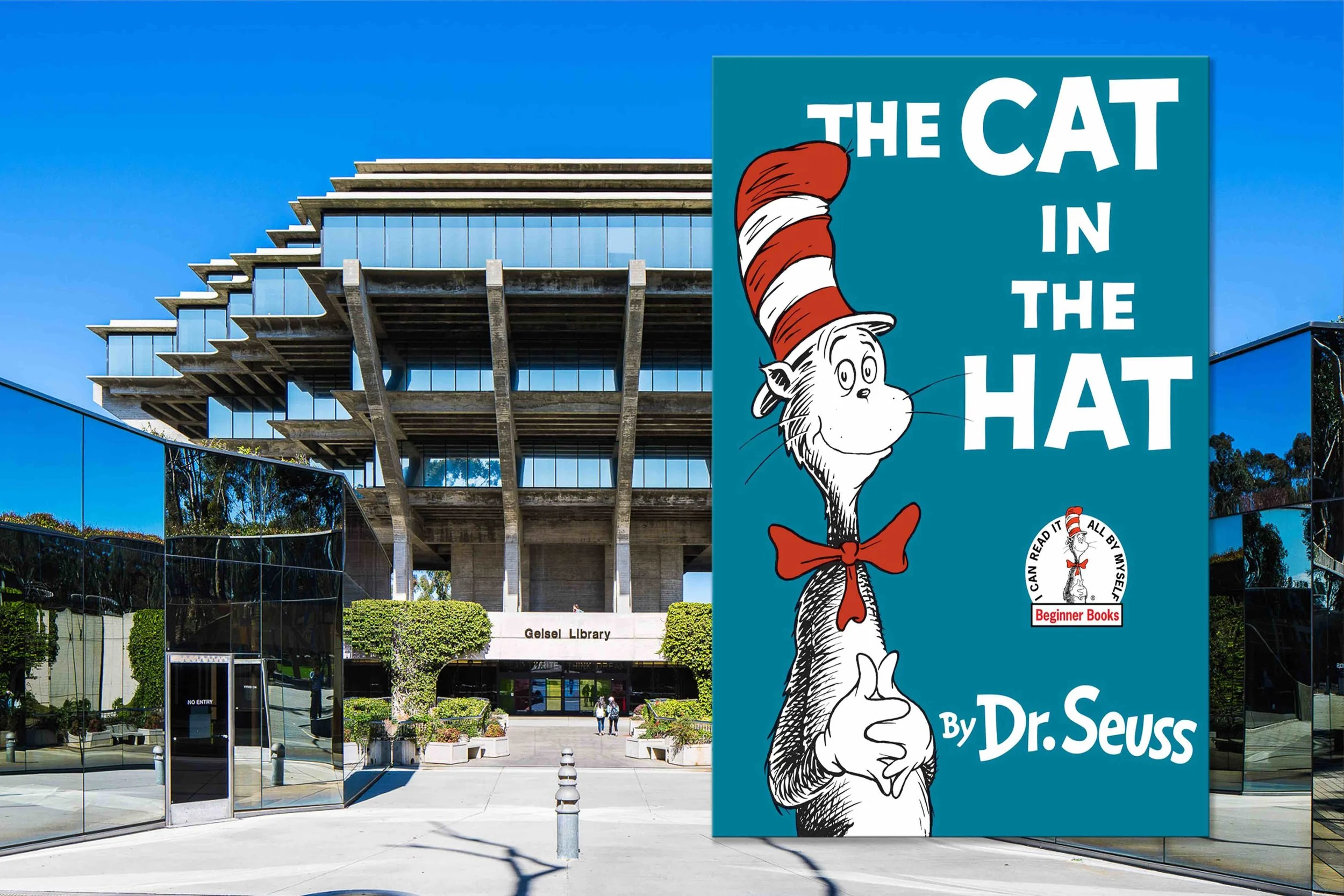 the cat in the hat.jpg