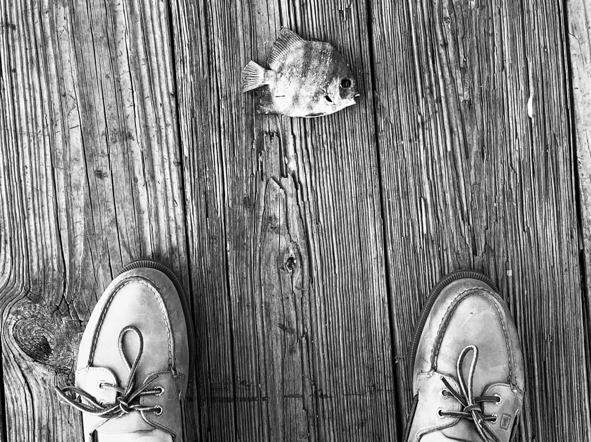 Slumbering in Grand Isle 