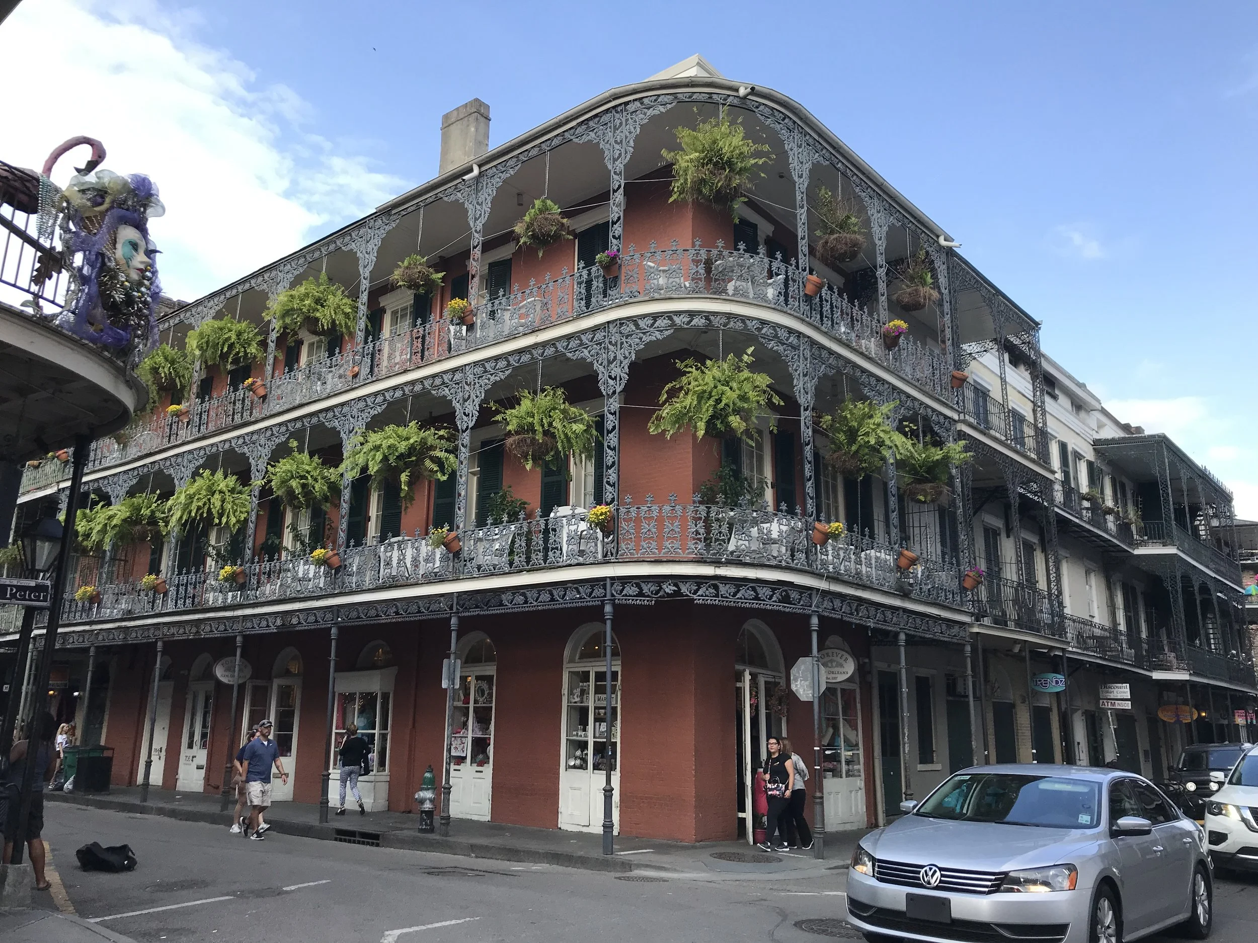 IMG_7061.jpeg