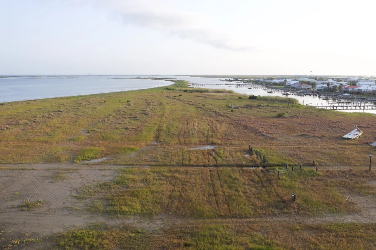 Somewhat drained marshland