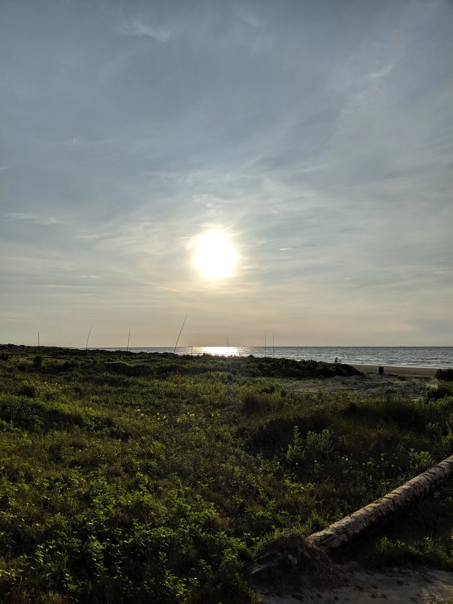 Submerged in Waves of Intimacy