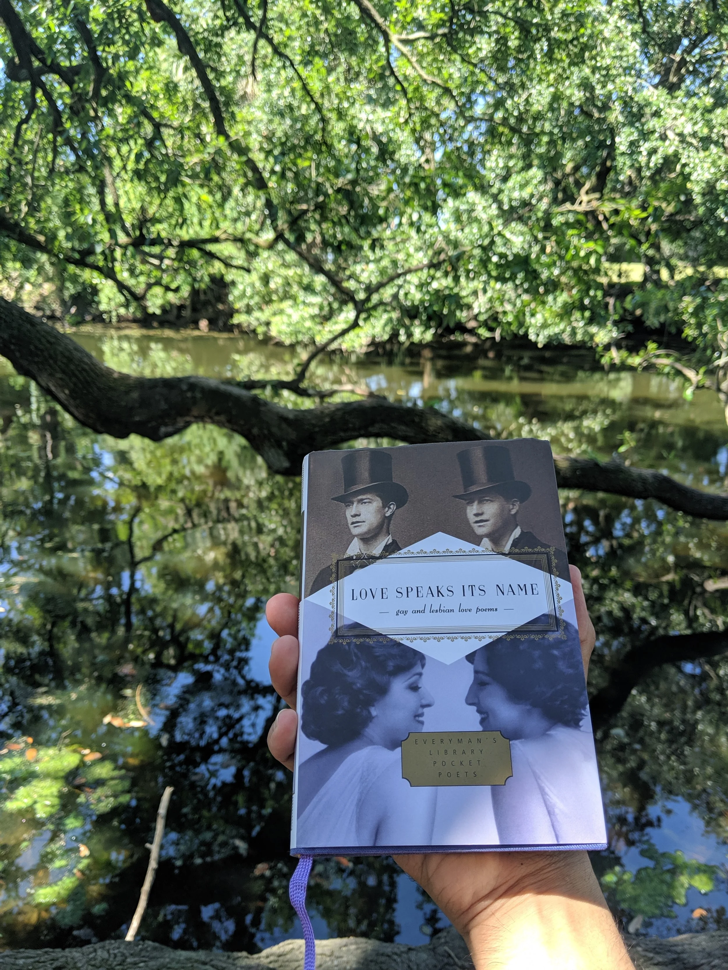 A collection of Gay and Lesbian poems purchased at Librairie Bookshop when taking a reflective walk; located in the French Quarter.