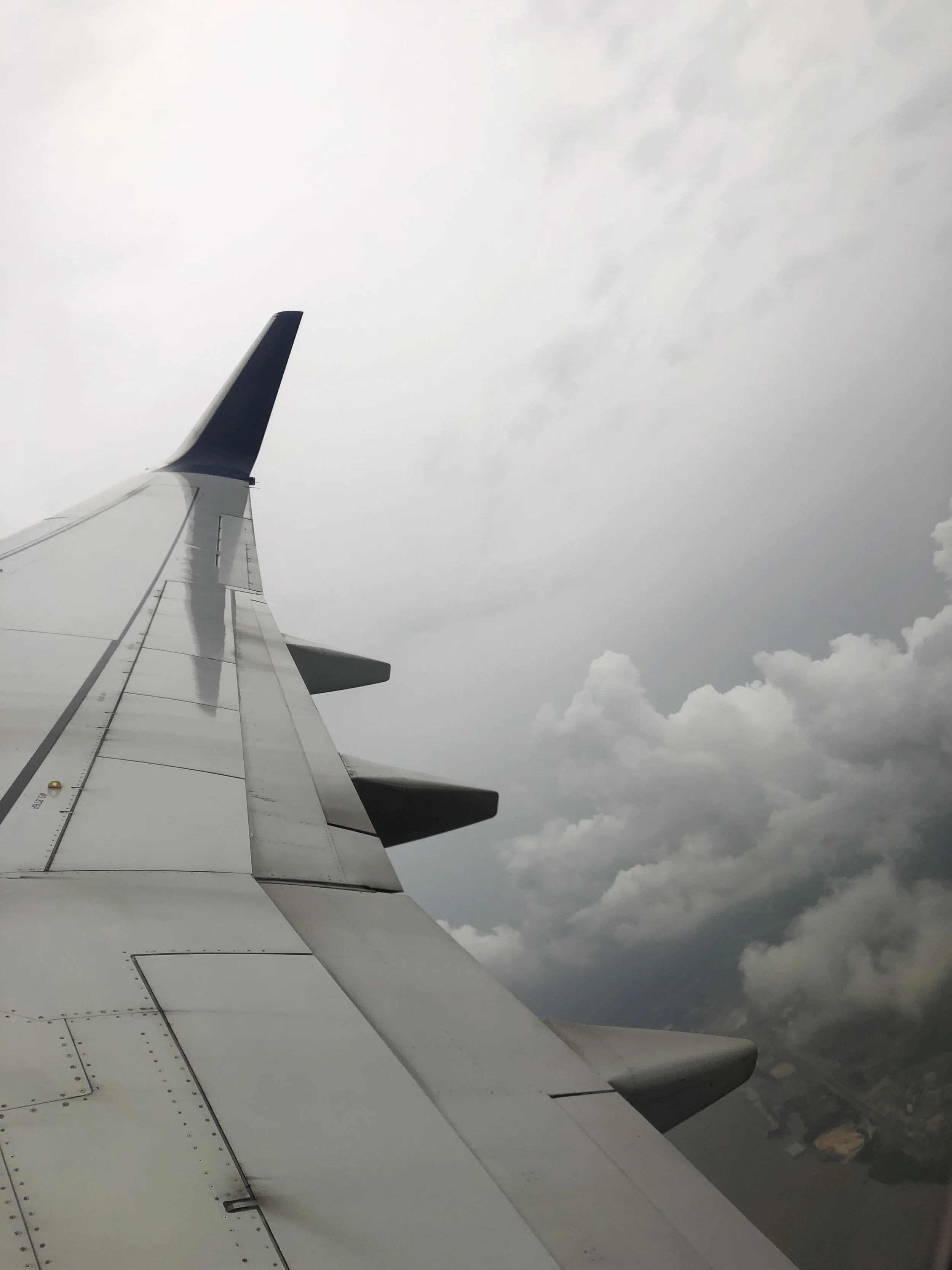 IMG_6380.jpeg