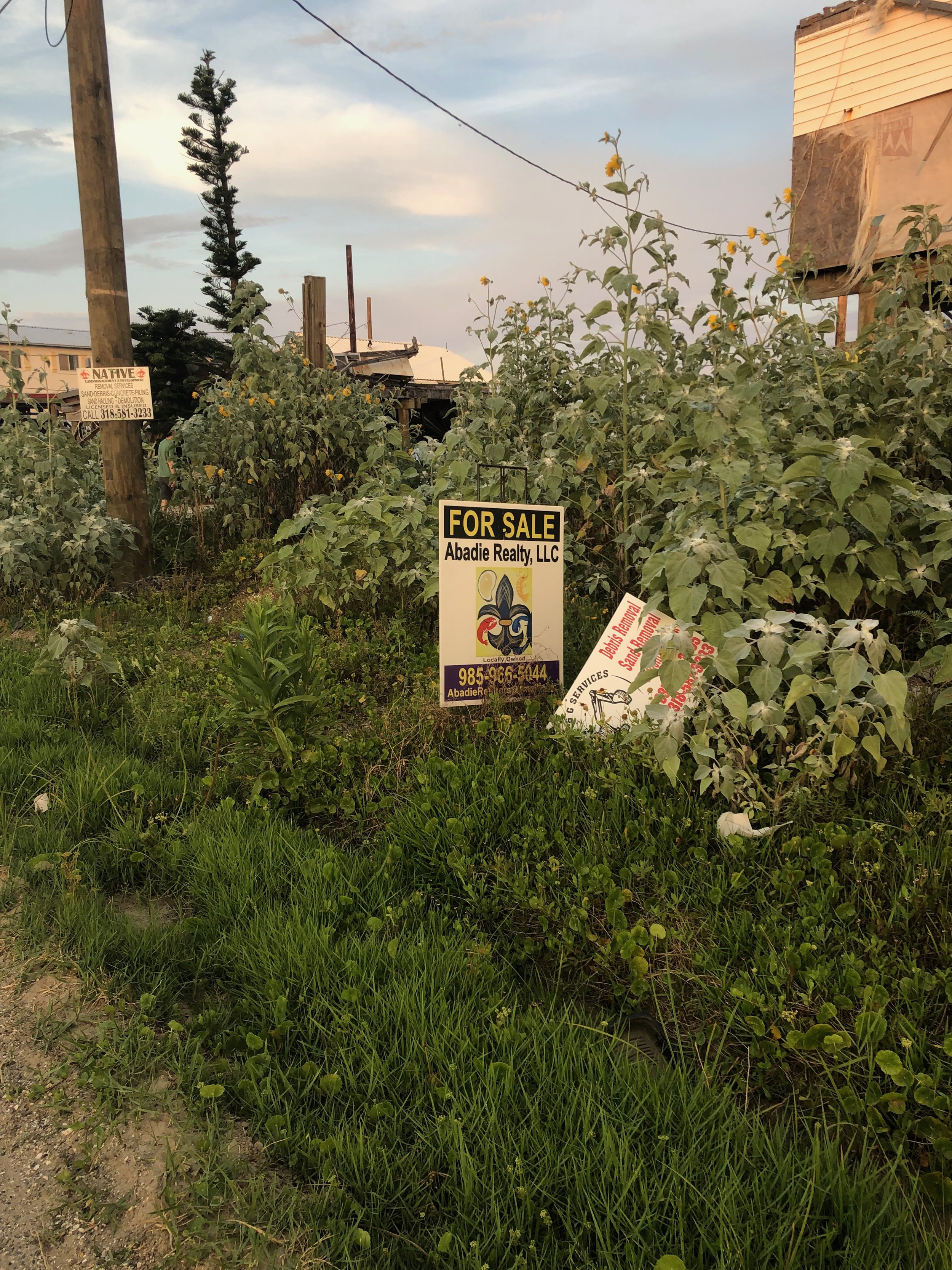 IMG_8946.jpeg