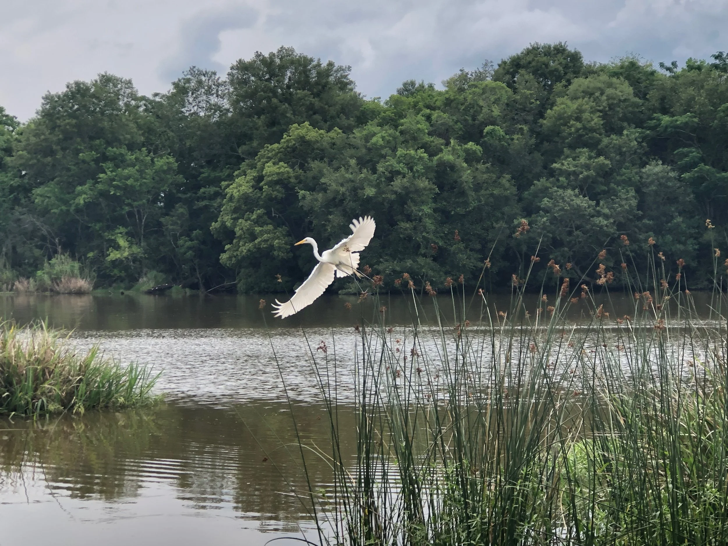 Chasing Cajun Spirit