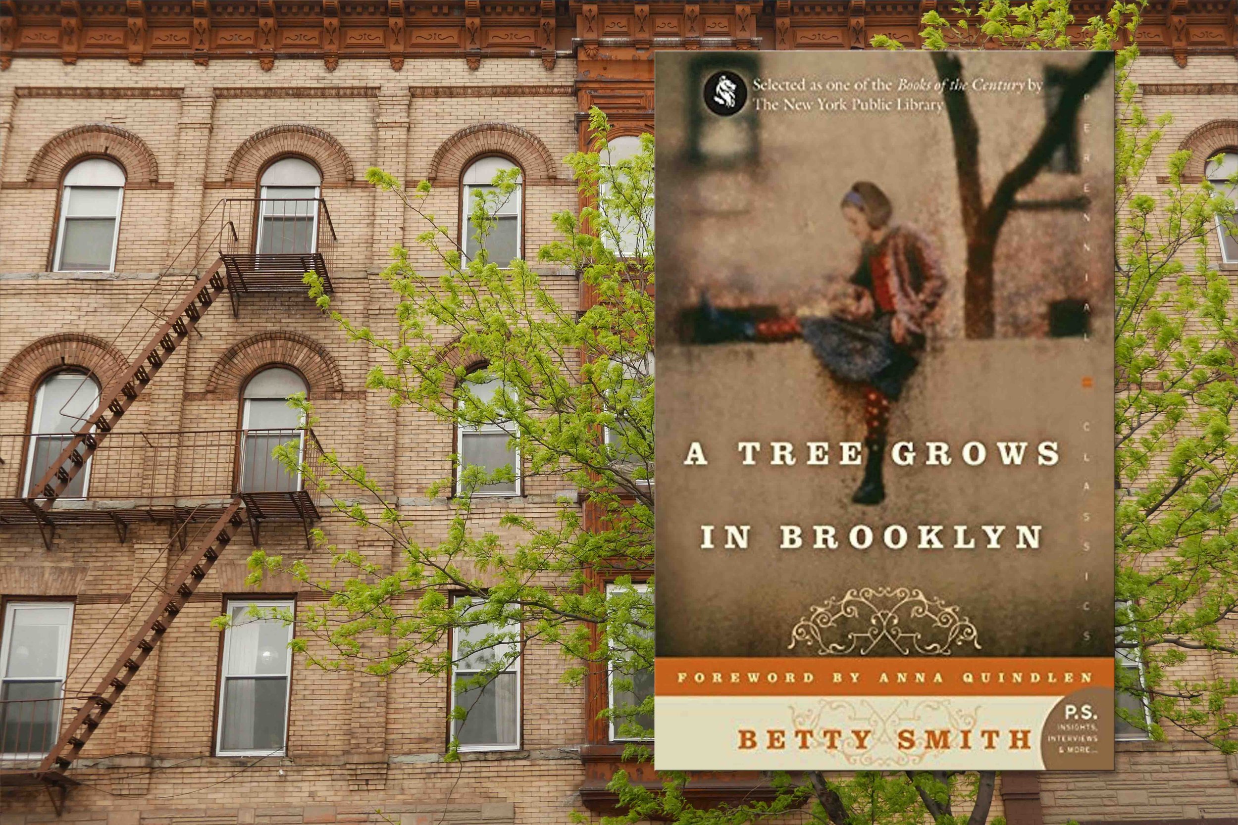 a tree grows in brooklyn.jpg