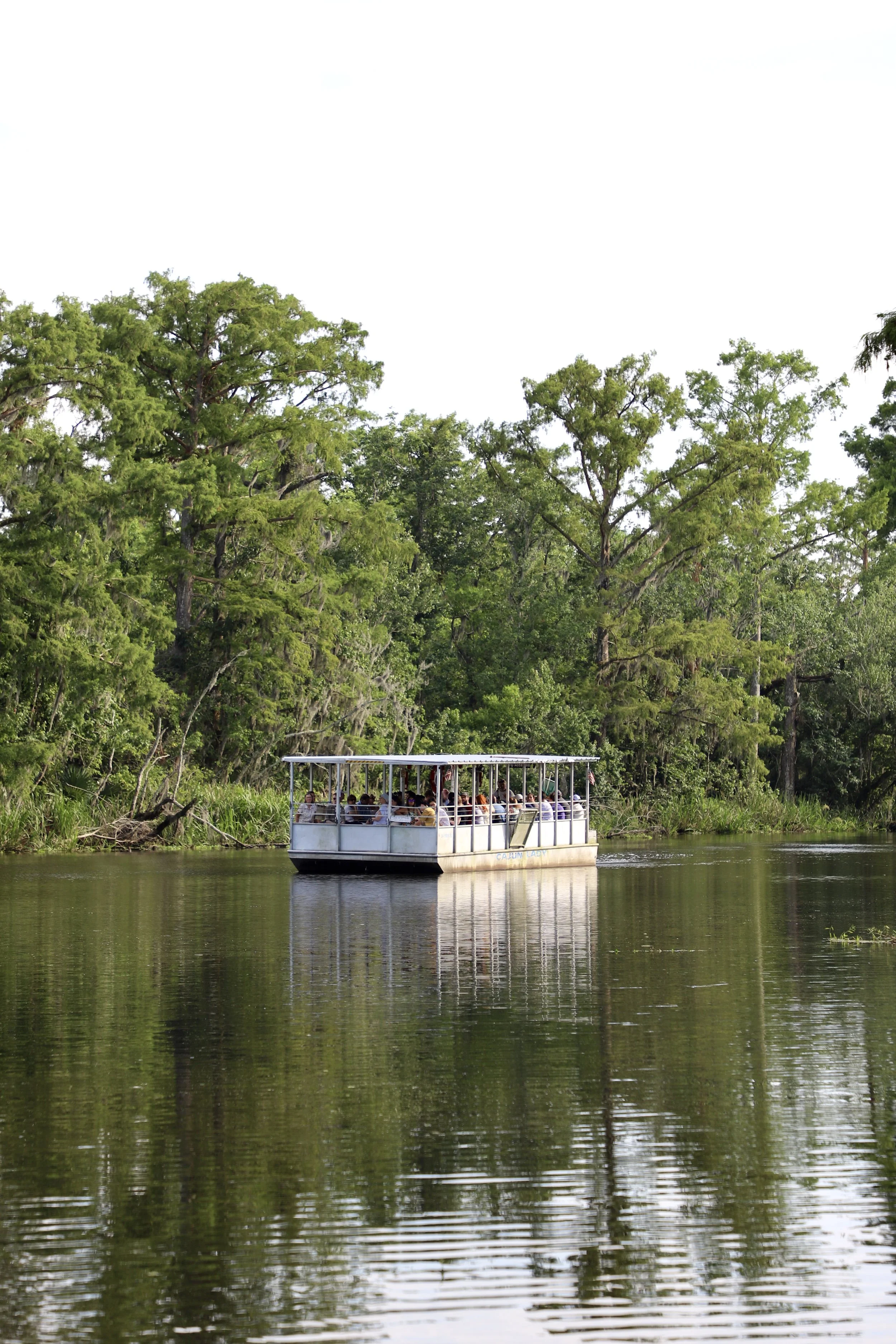  A boat drifts through the waters of the swamp. As part of the Maymester journey, students were able to experience a swamp tour filled with a variety of animals including gators, hogs, raccoons, and other native mammals.  