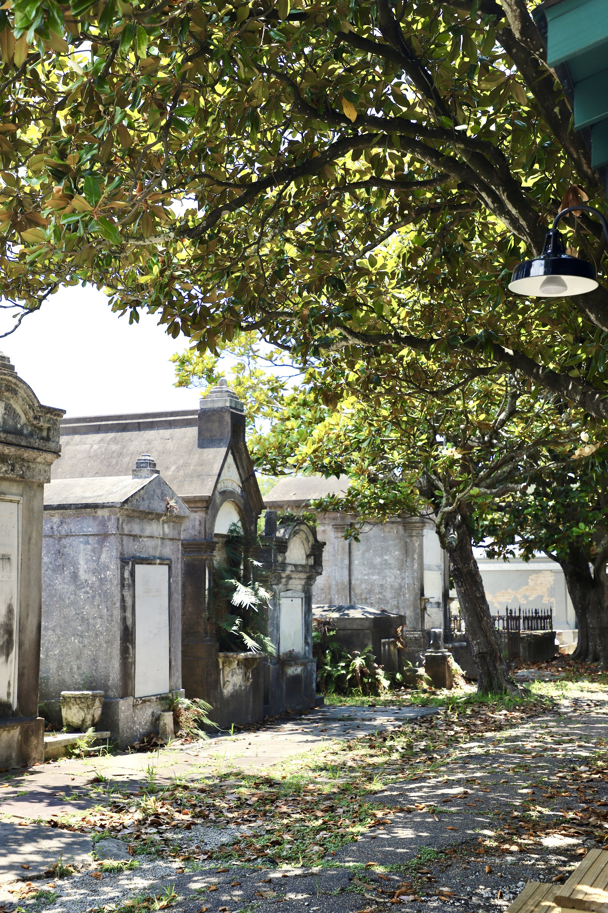  The cemetery remains closed to visitors, unobstructed by human interaction and graced with the natural falling of winter leaves. This is one of the most enticing cemeteries to visit in New Orleans because of it’s out of the ground grave sites and be