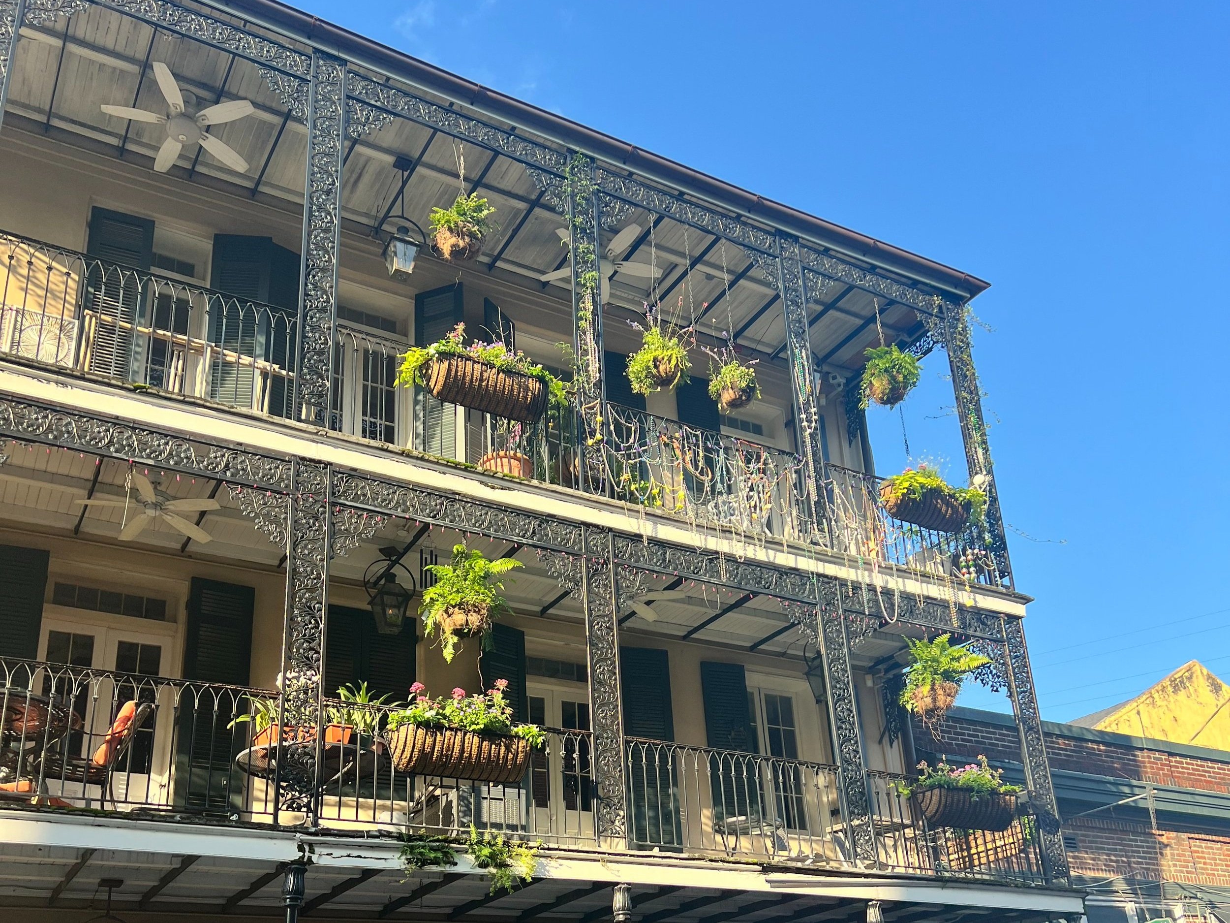 Dumaine St. Architecture