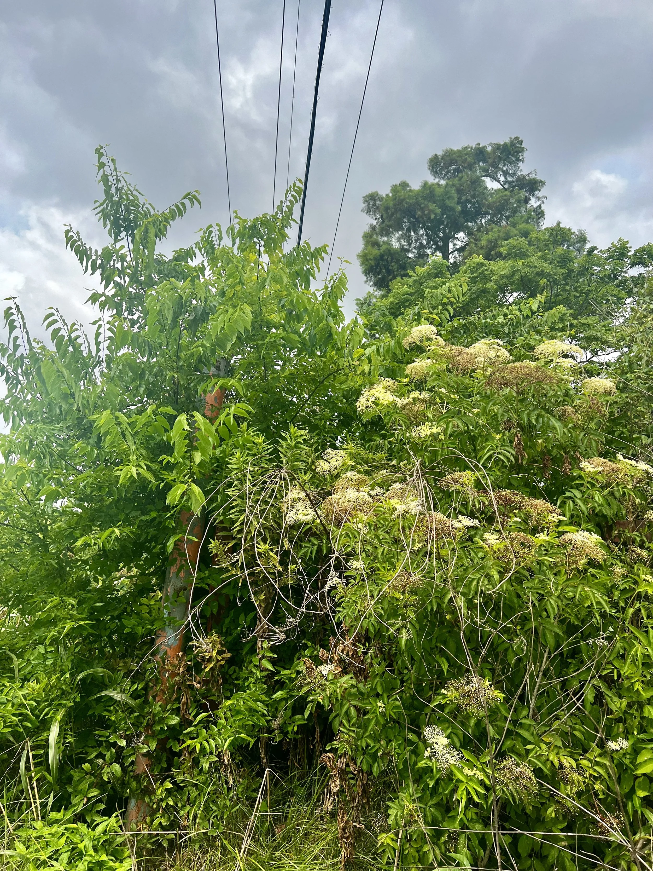 4121: the story that remains