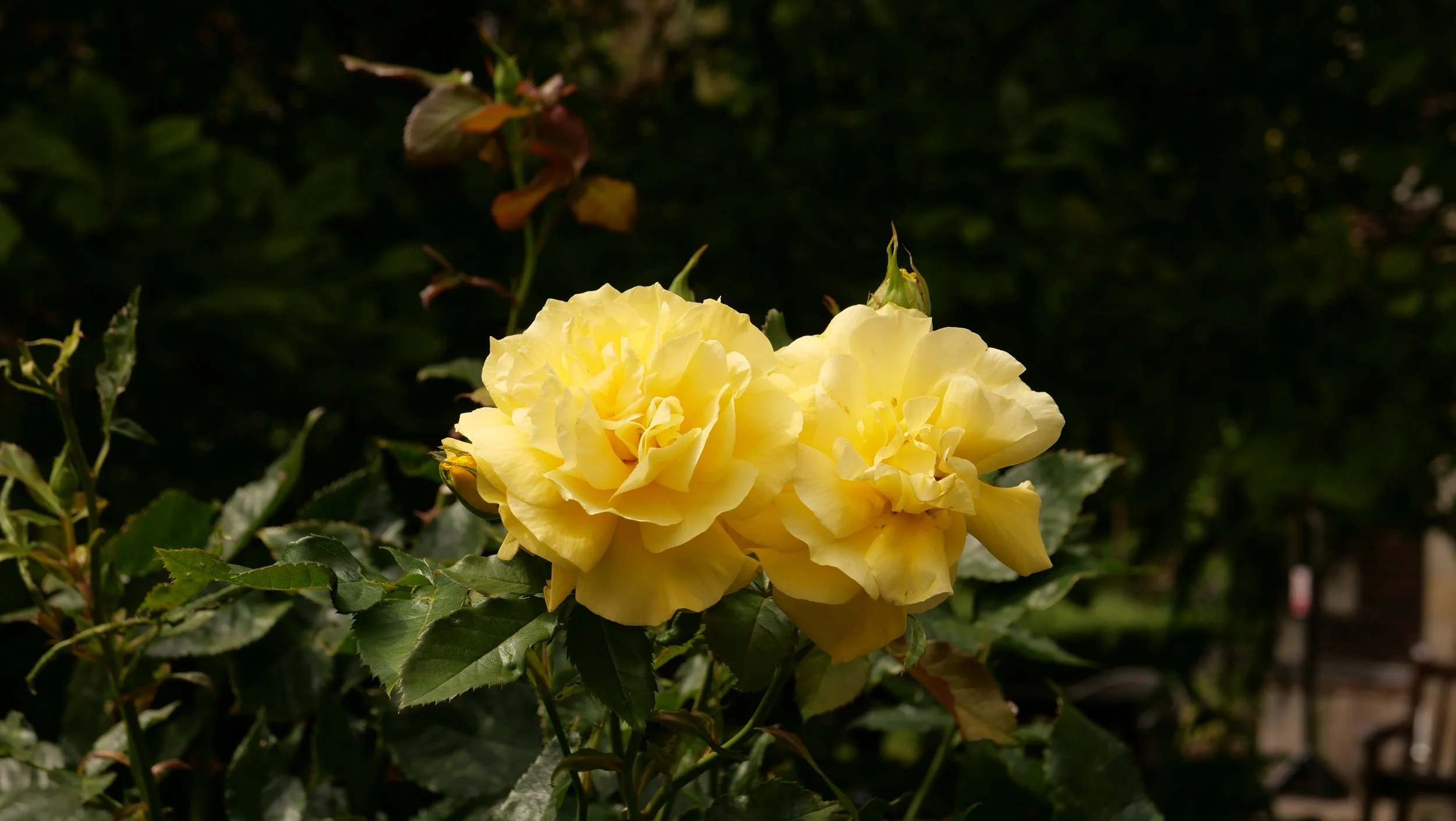 DO01012416.jpg