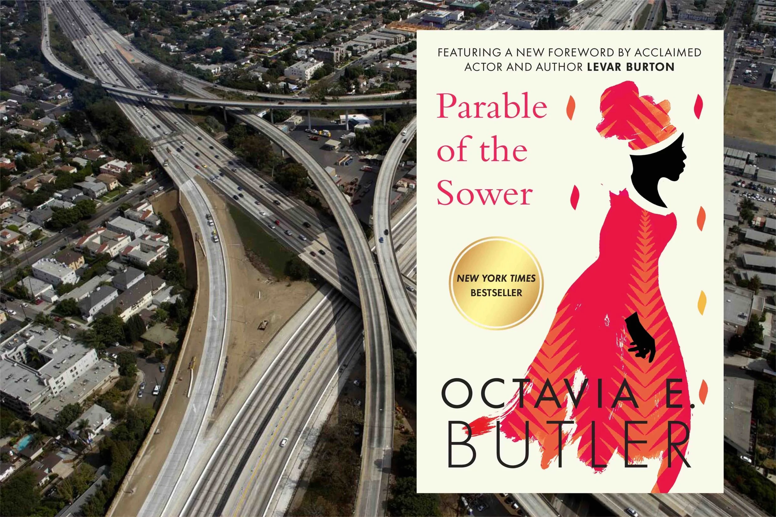 parable of the sower copy.jpeg