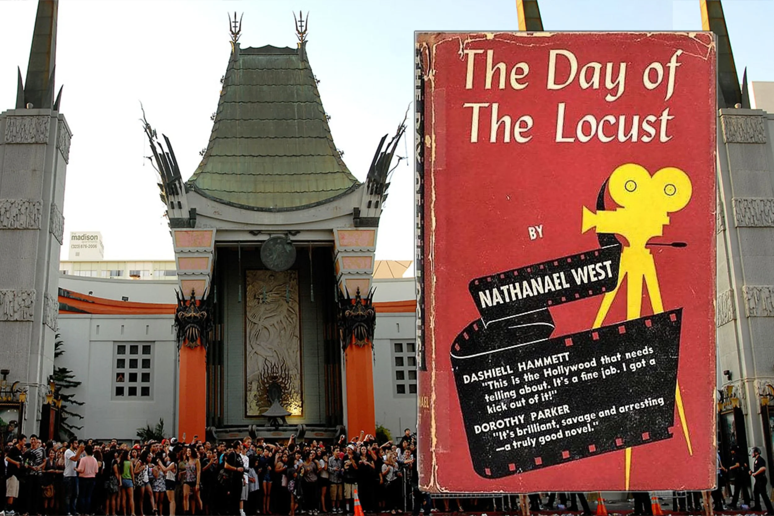 the day of the locust 02 copy 2.jpg