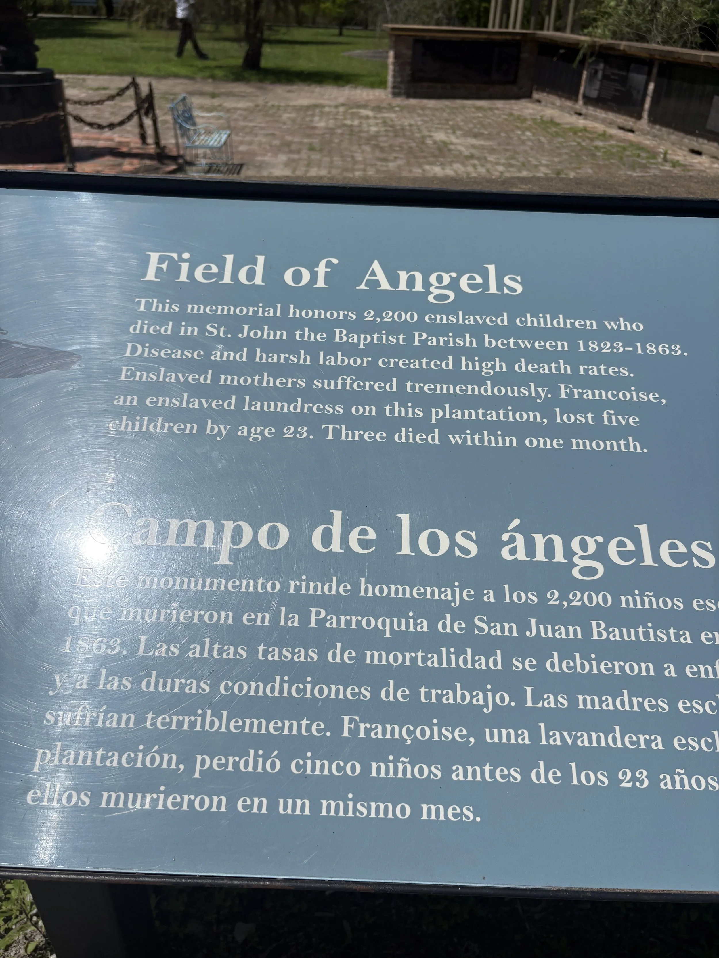 IMG_6655.jpeg