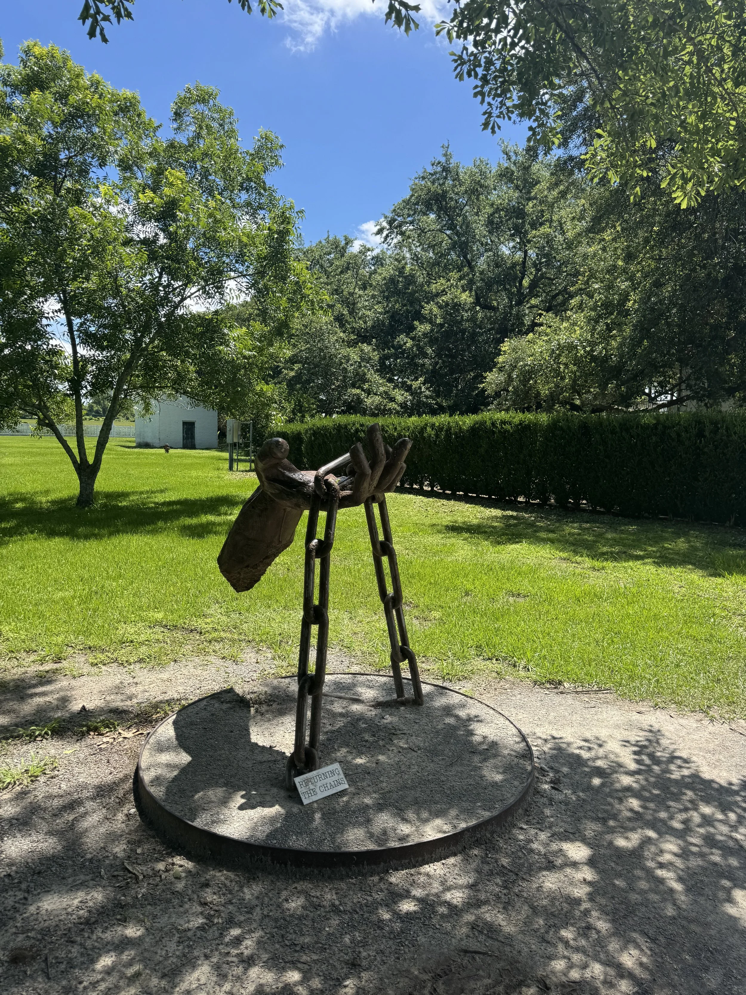 IMG_5253.jpeg
