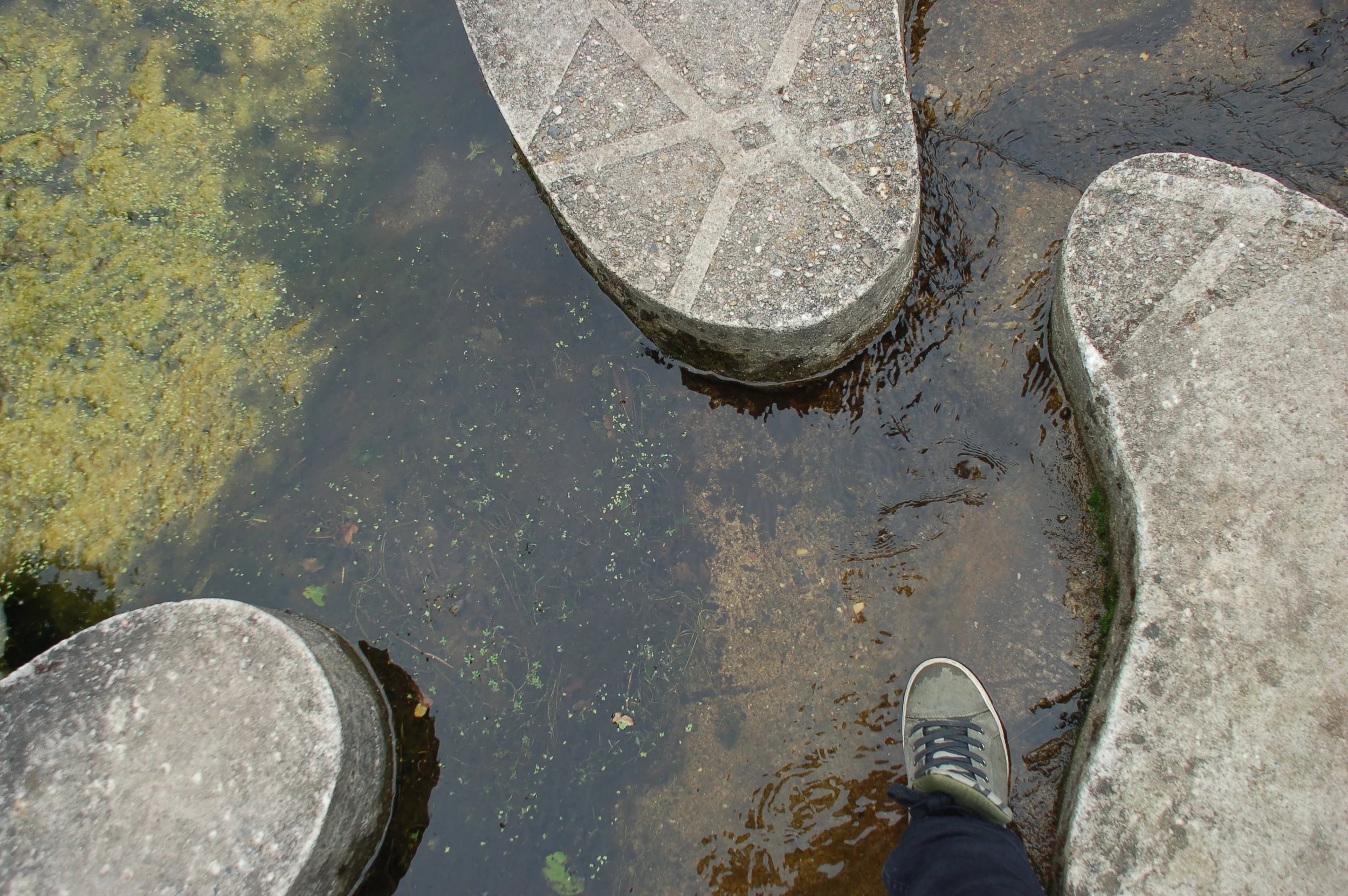 Cirkelzang bij t Lankheet2.JPG