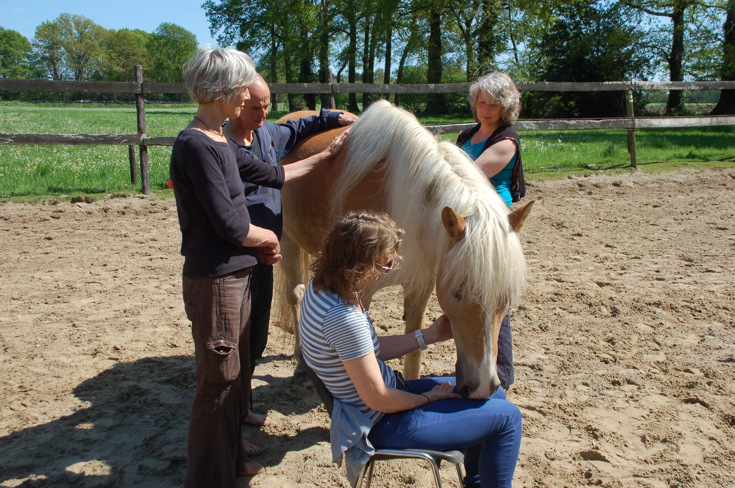 Cirkelzang bij de Paarden.