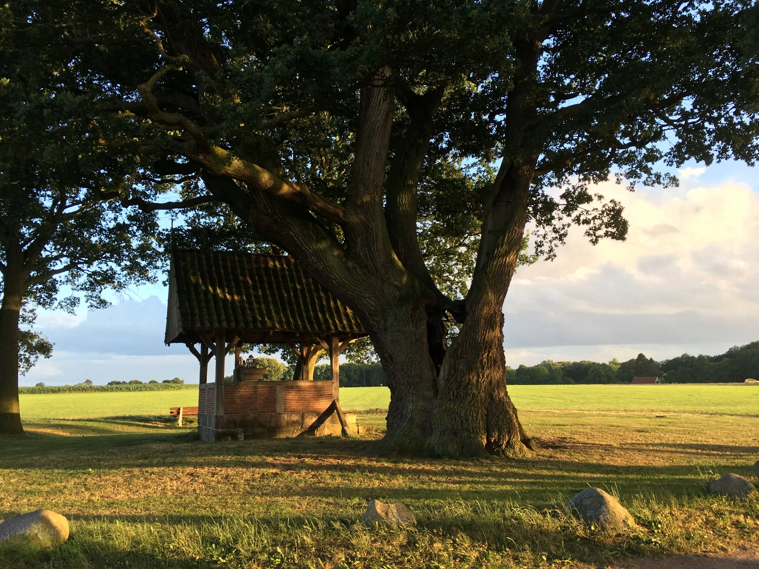 Cirkelzang onder de Kroezeboom.
