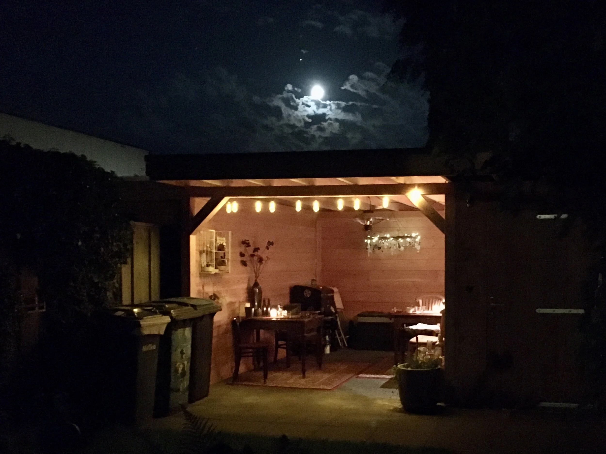 Cirkelzang in de achtertuin