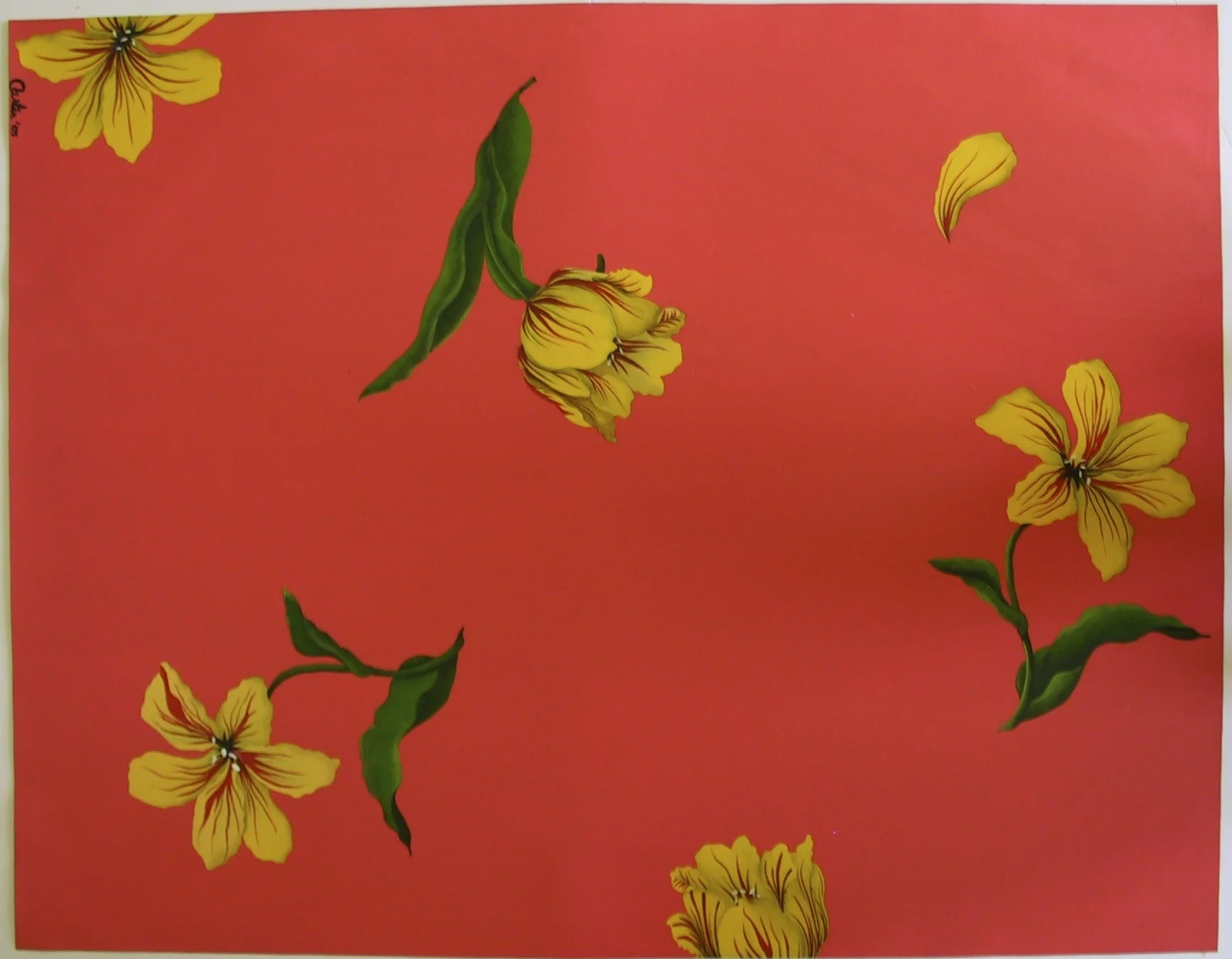 Tulips:Salmon.jpg