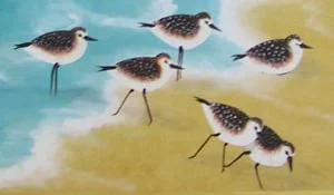 birdsin.jpg
