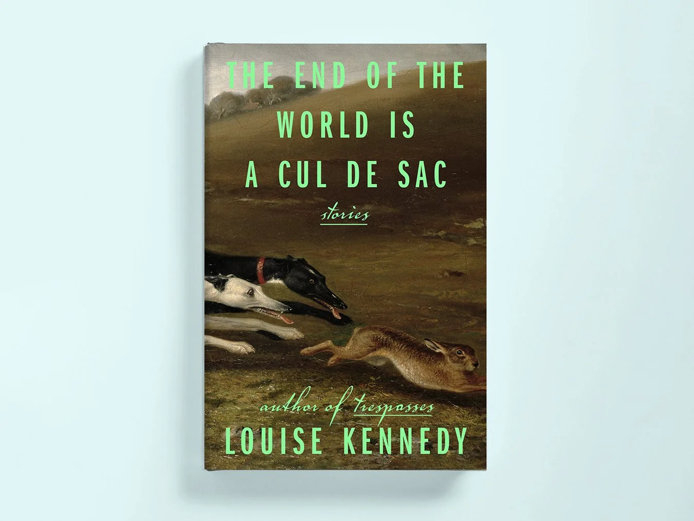 LouiseHeader copy.jpg