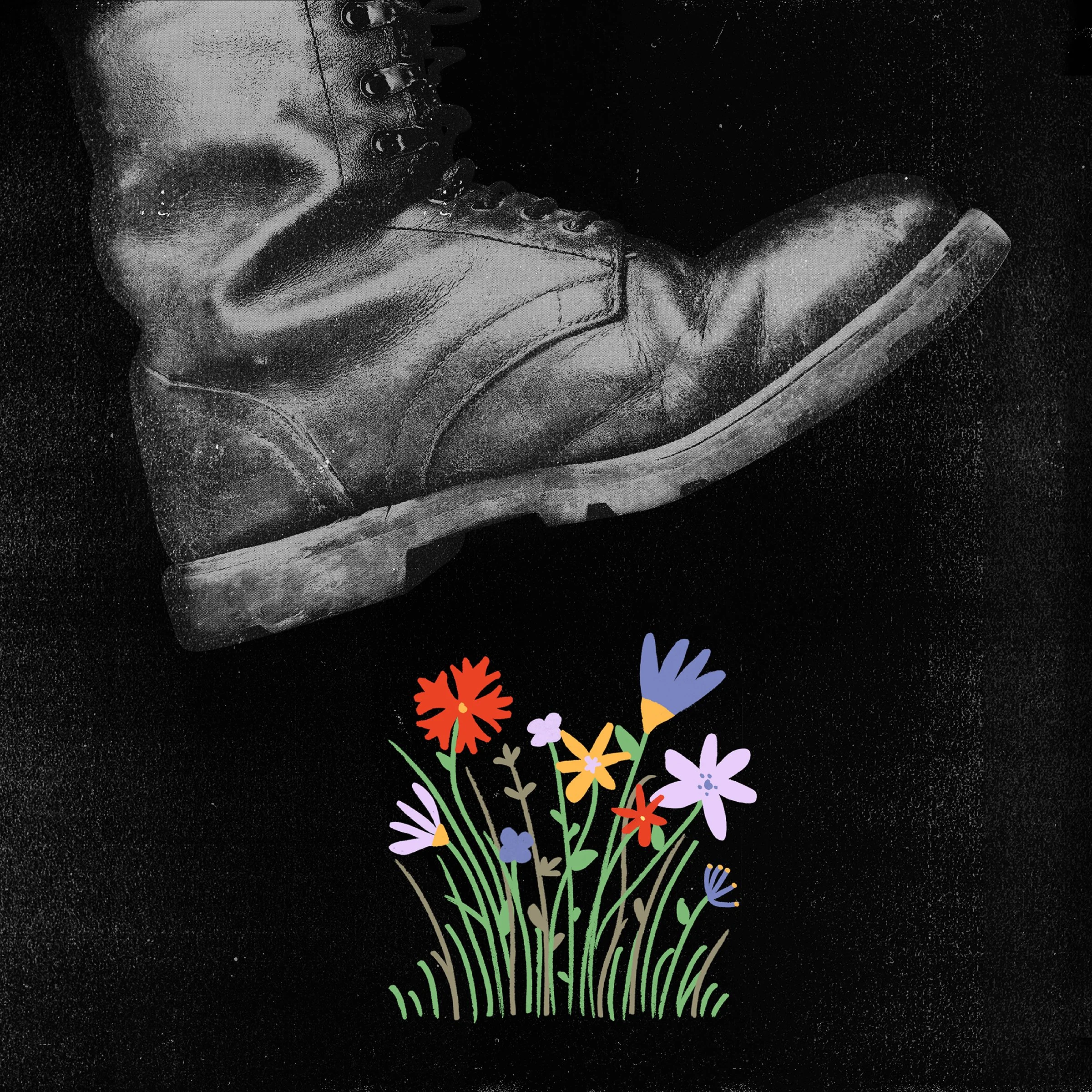 Lauren Peters-Collaer—The New York Times.jpg