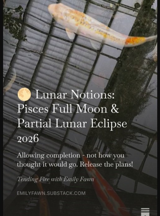 Our identity is in the spotlight as decades of beliefs are challenged by this potent lunation! Navigate this week with greater understanding and some ease with my latest Lunar Notion article : it&rsquo;s free to read and listen to!

Link in Bio
Emily