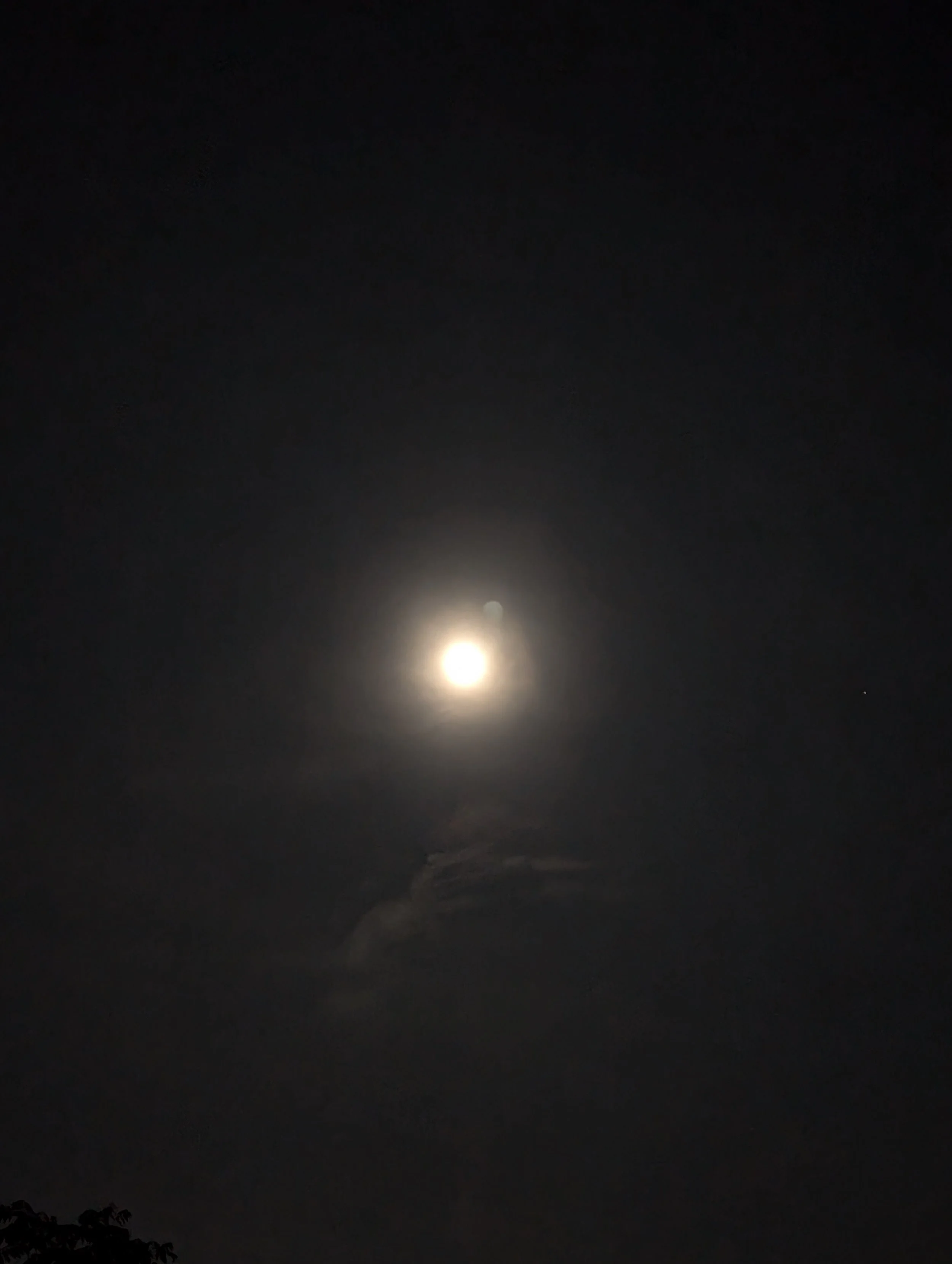 PXL_20240918_034643960.NIGHT.jpg