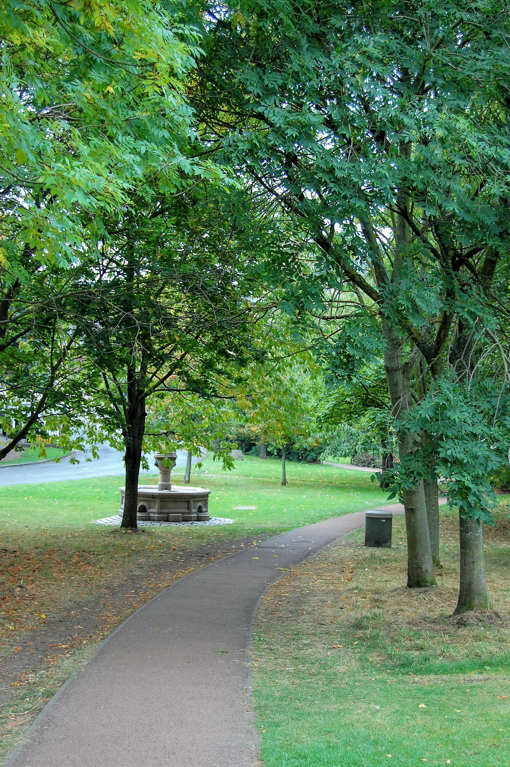 DSC_0005.jpg