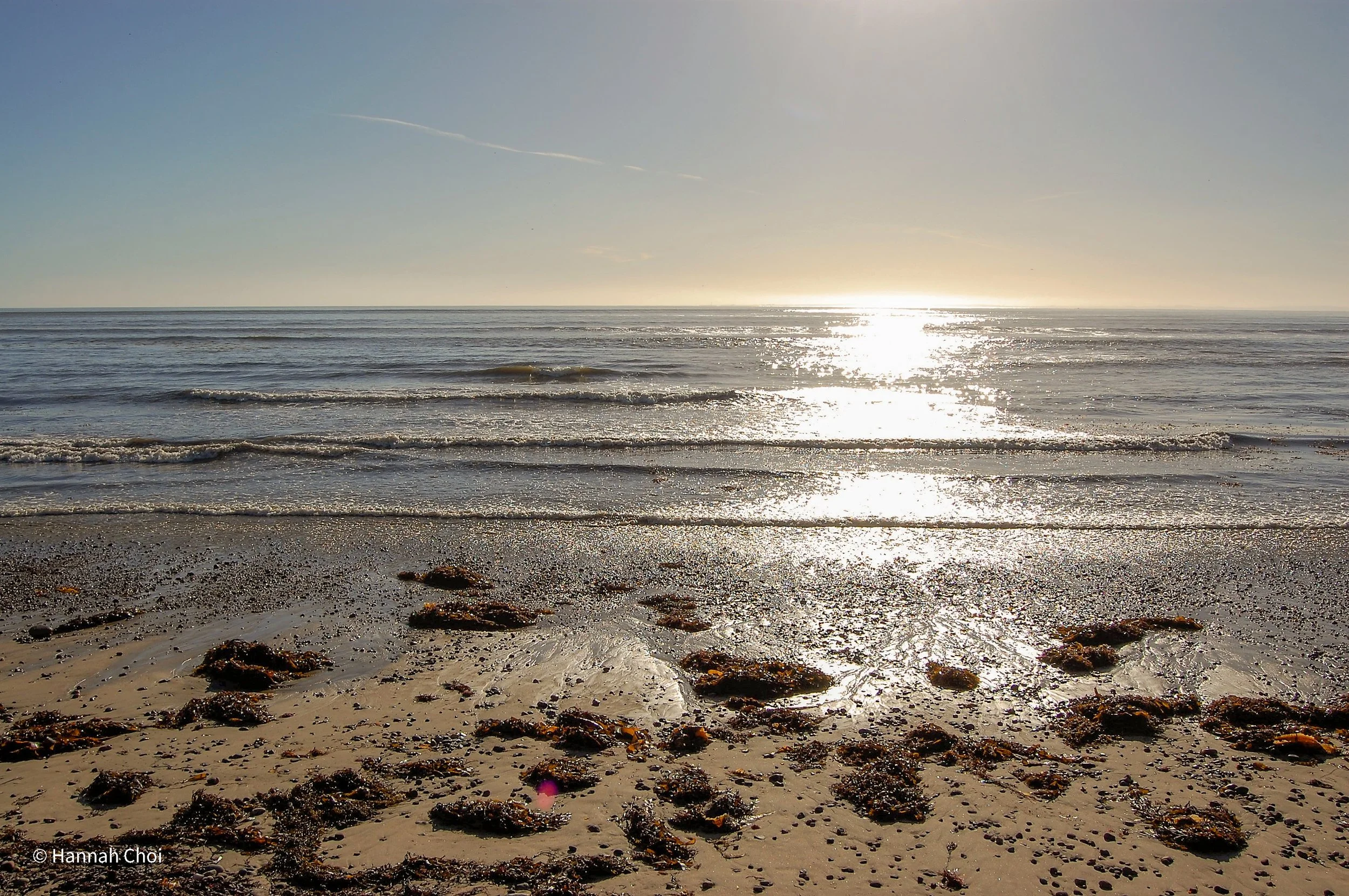 DSC_0172.jpg