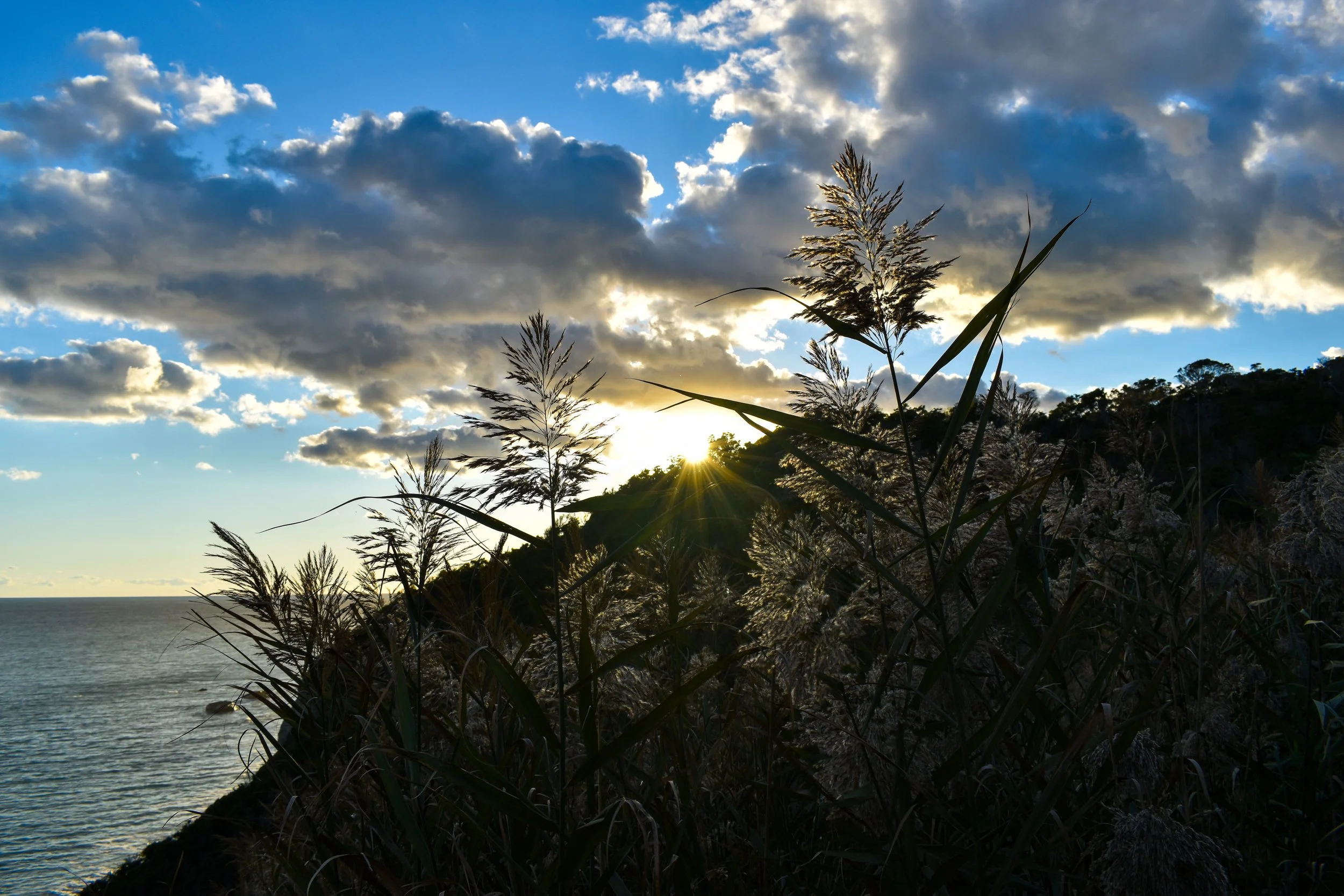 DSC_0787.jpg