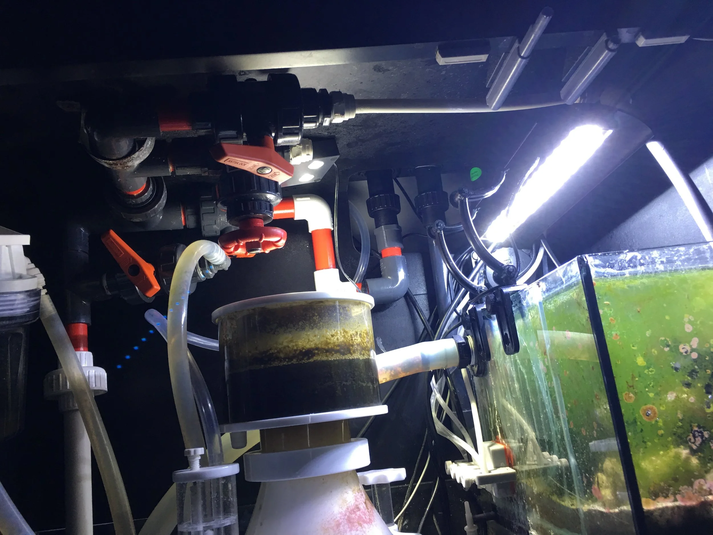 manifold_red_sea_reefer.JPG