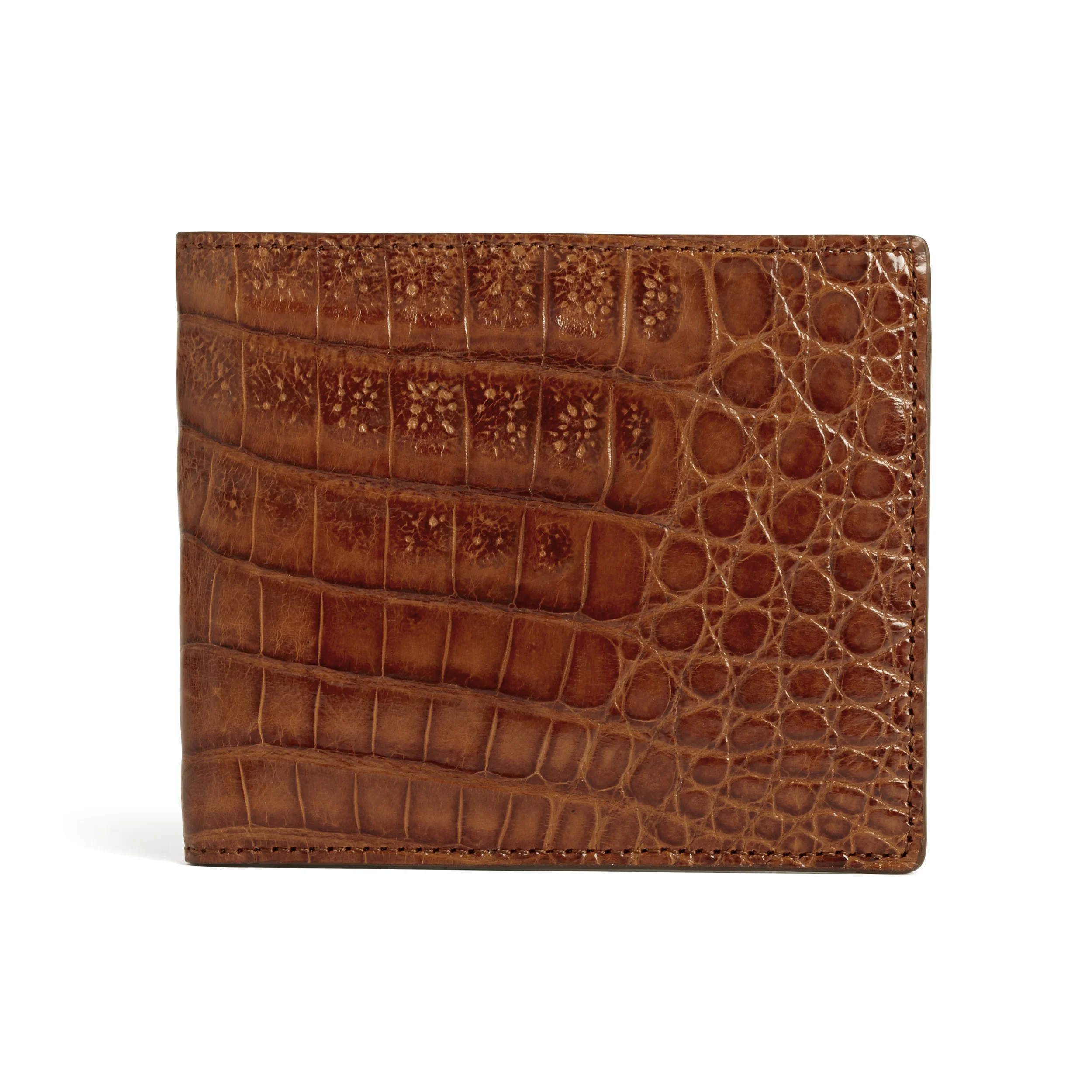 Brown_Shiny_Wallet_front_v2.jpg