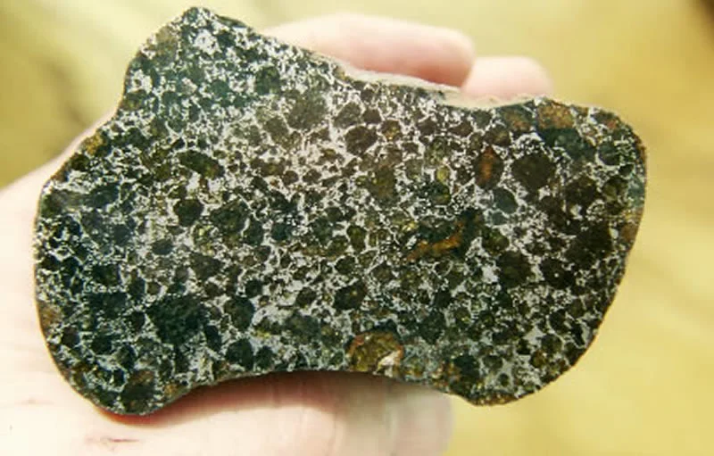 MiltonPallasite2.jpg