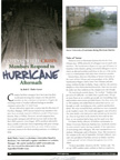 Magazine-Feature-Katrina Responses.jpg
