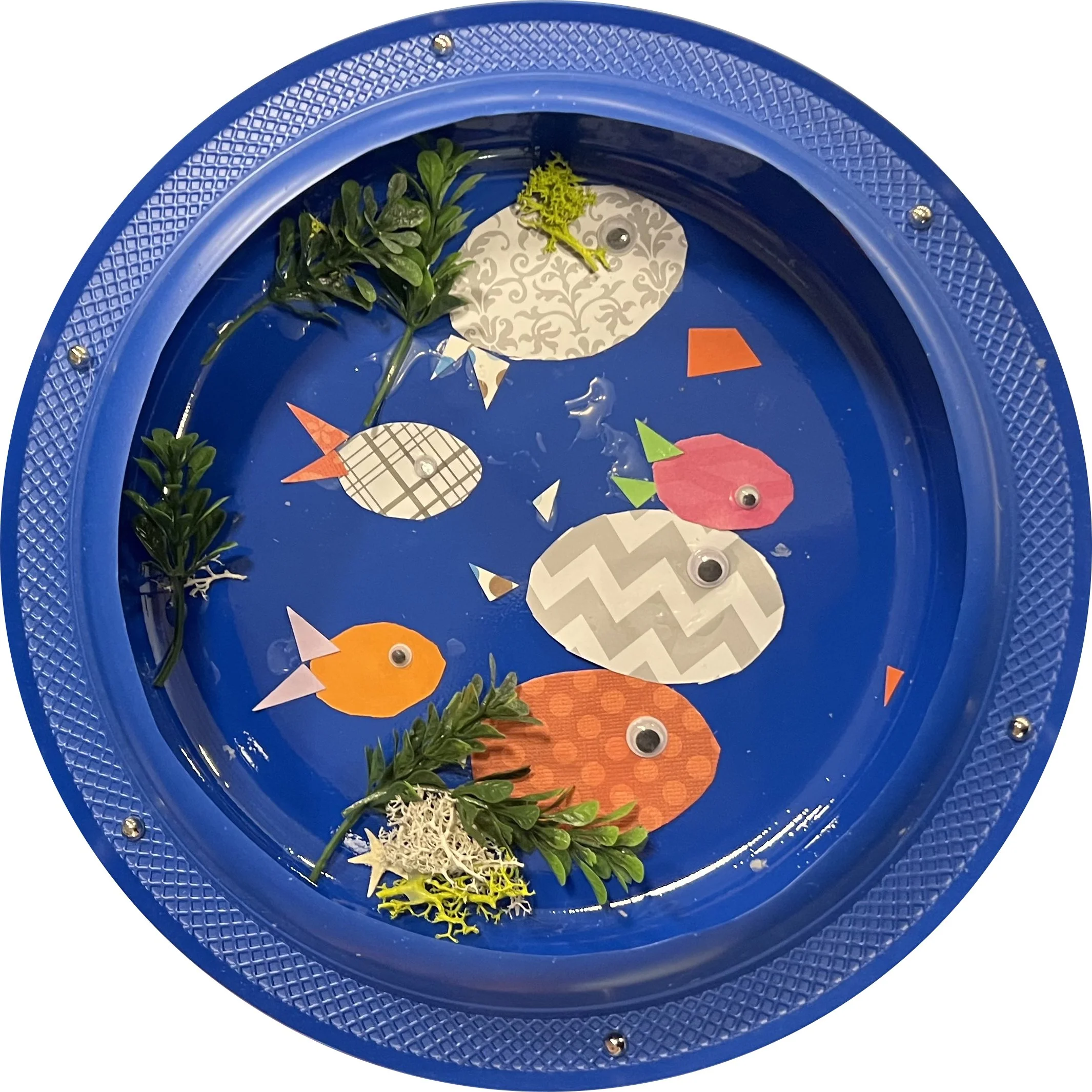 Gibbs Aquarium Shapes