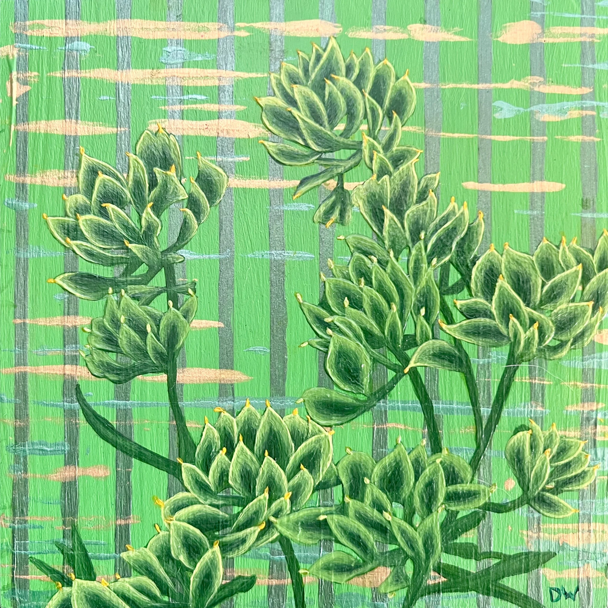 Lime