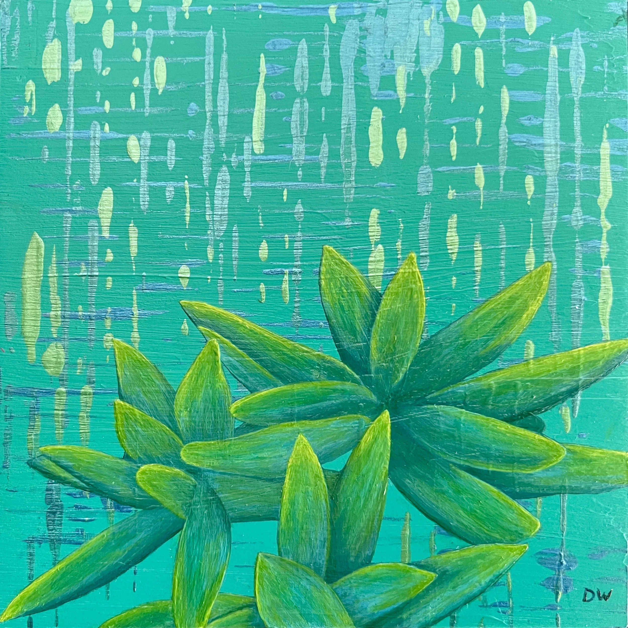 Aqua