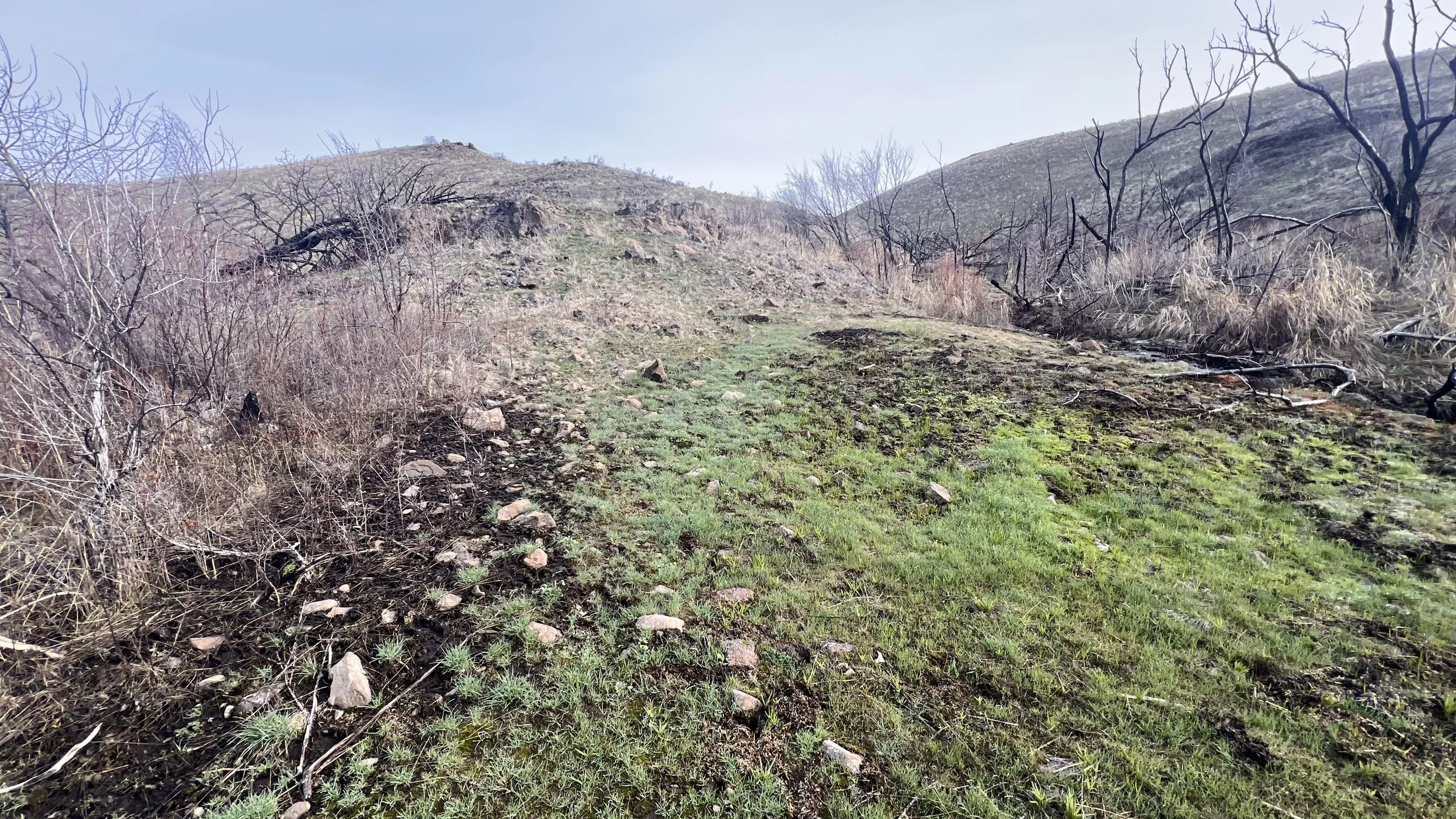 Scenic open hillside view on a hiking trail near Ellensburg, Washington during the Cycles public art mosaic installation visit