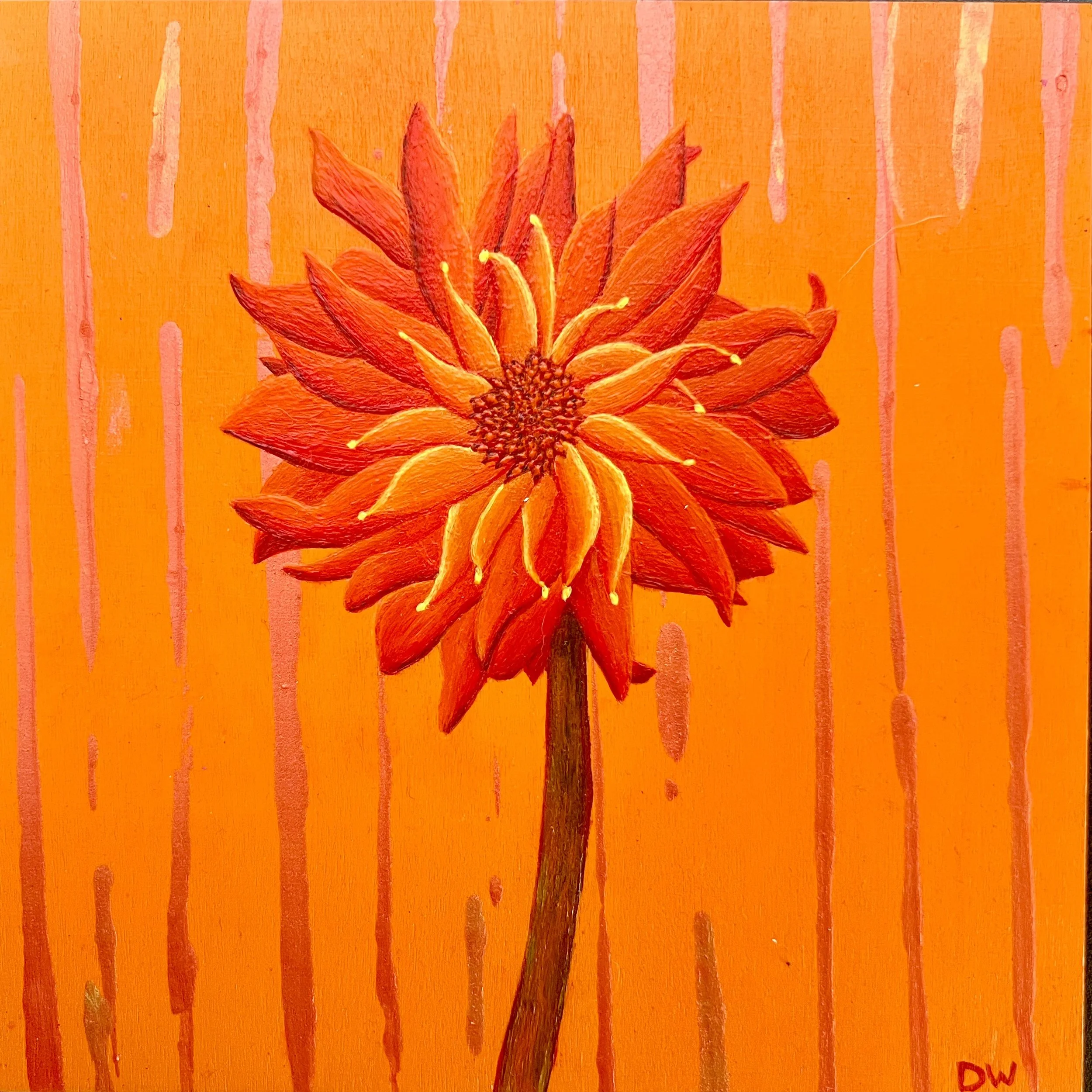 8 - Tangerine.jpeg