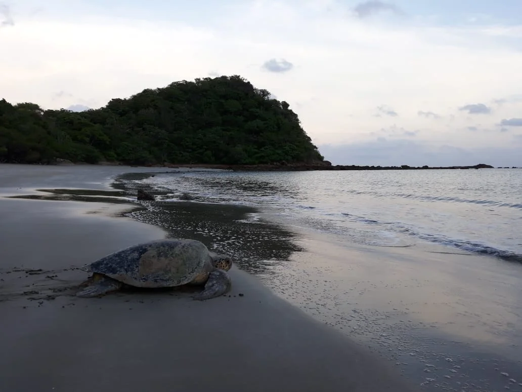 WhatsApp Image 2018-06-23 at 12.58.21 PM.jpeg