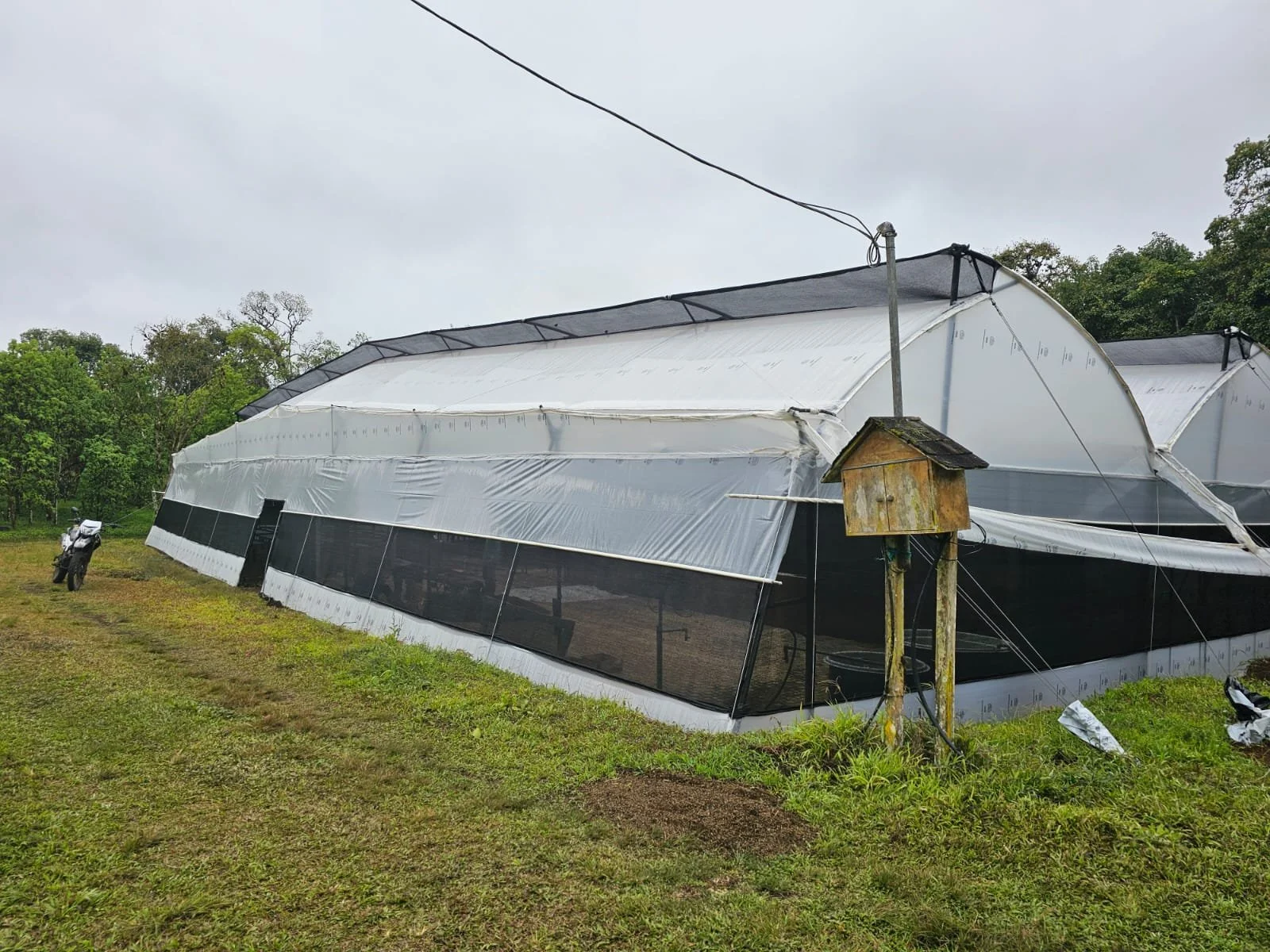 WhatsApp Image 2024-08-21 at 12.46.50 (1).jpeg